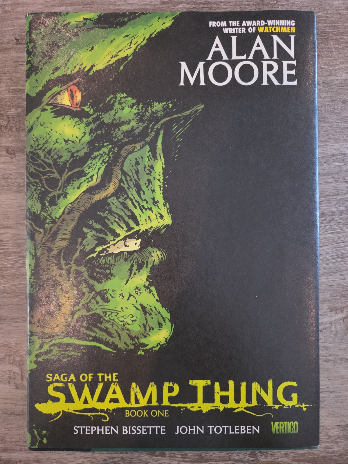 Saga of the Swamp Thing Book One HC Amazing Painted Sketch By Stephen Bissette 