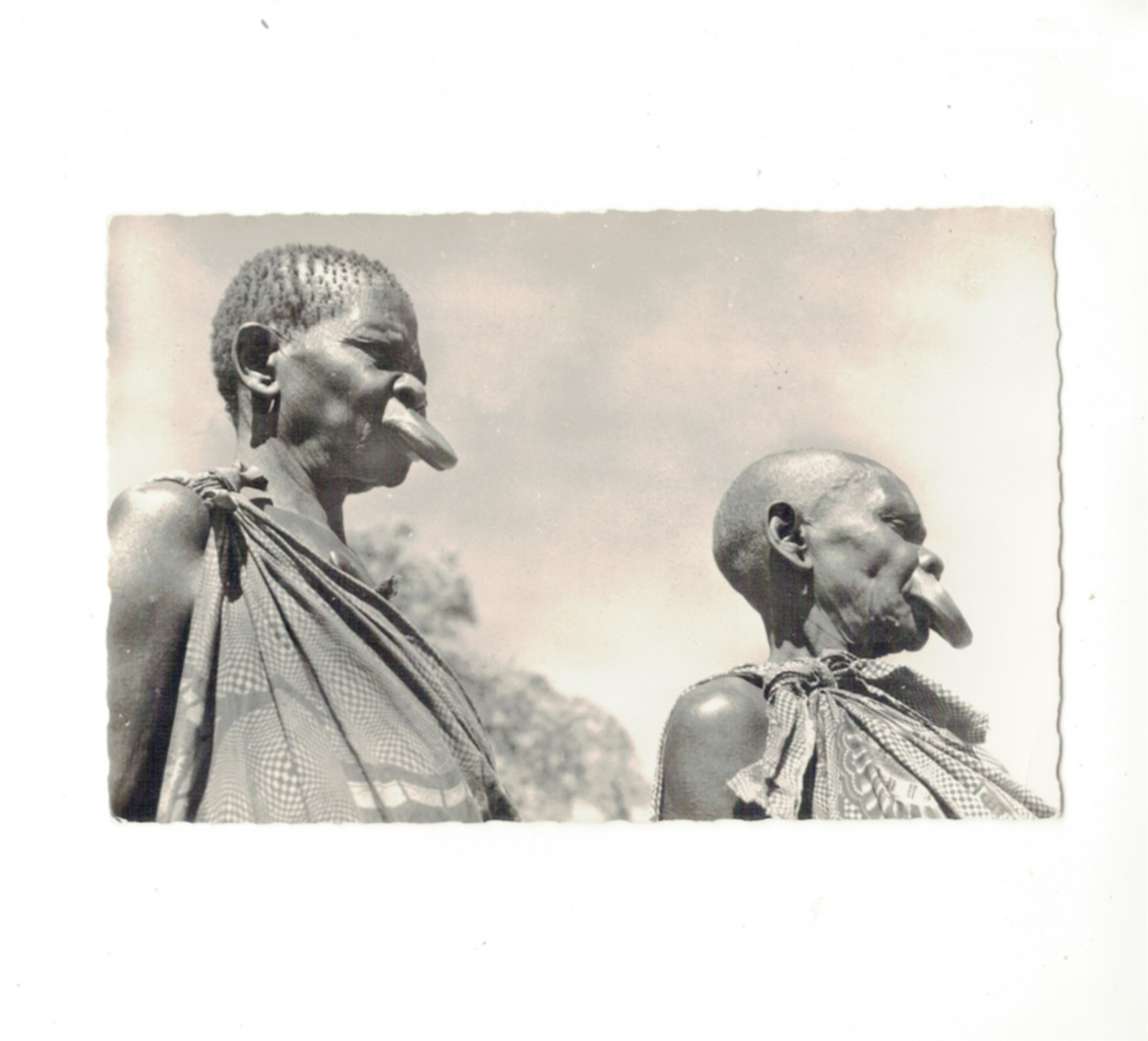 Postcard  Ethnic Black Africa Saucer Lip Woman of Congo RPPC   TC 1315
