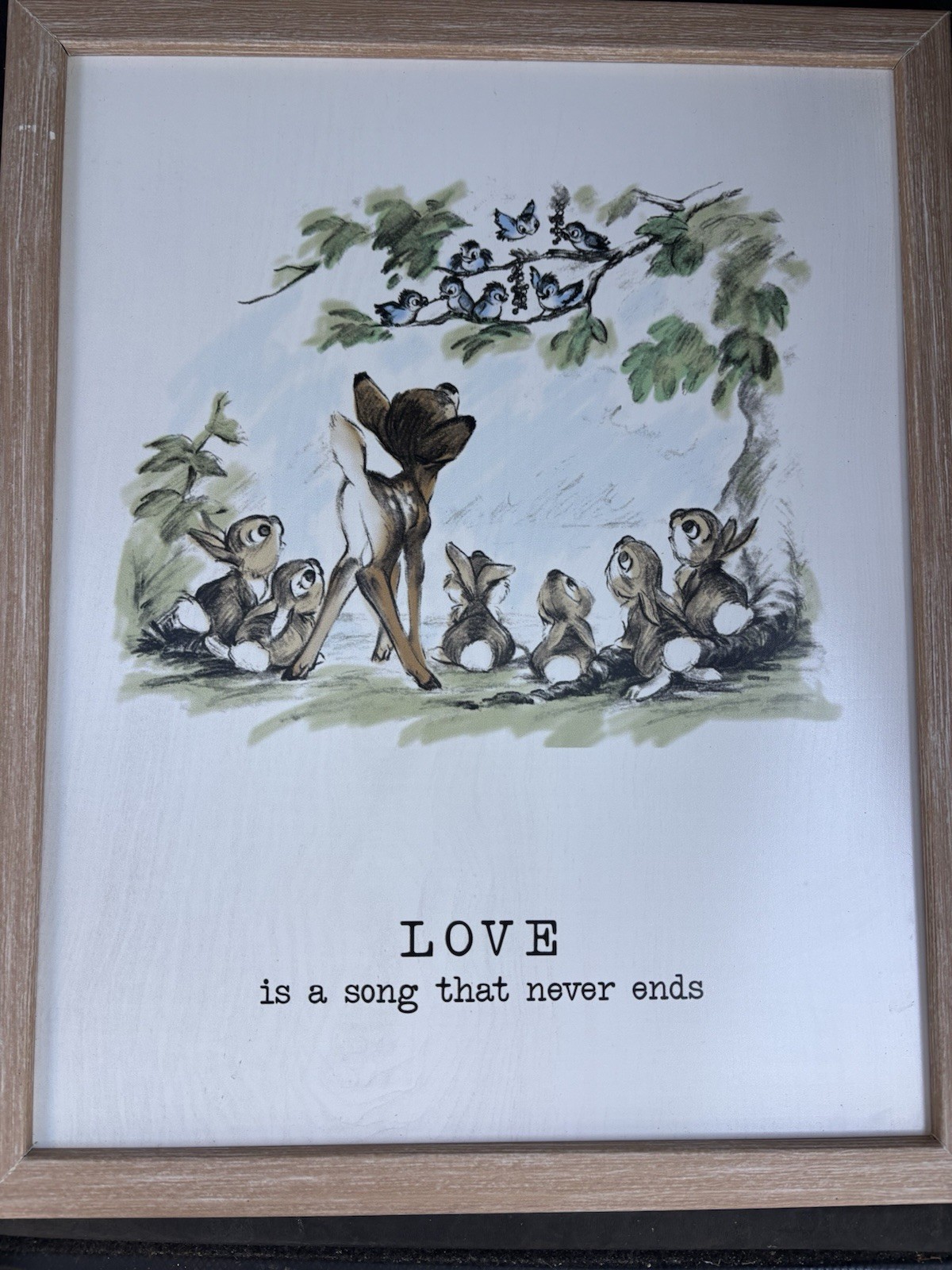 Officially Licensed Disney Bambi Framed Wall Decor Made in USA Open Road Brands