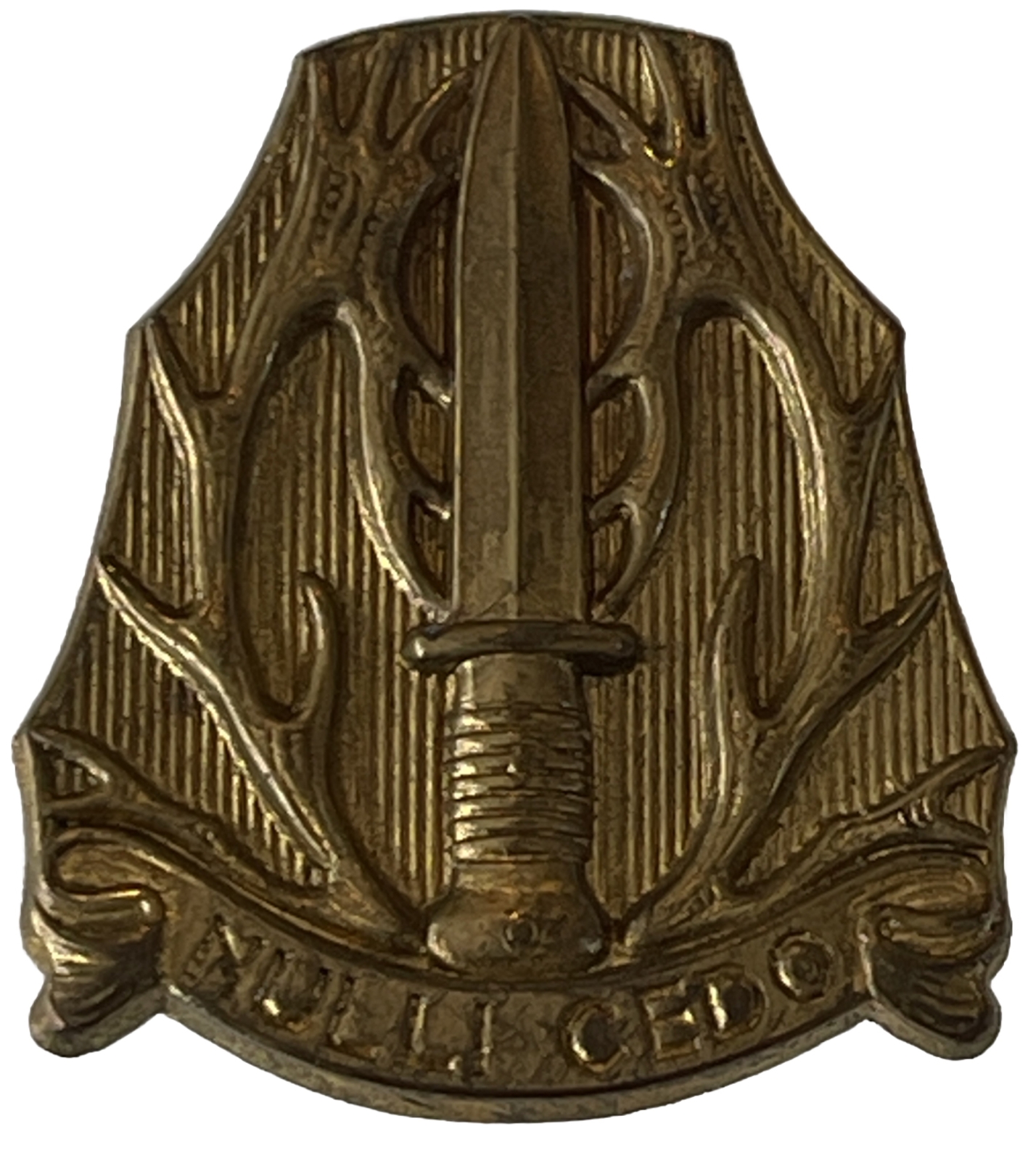 Infantry Corps Royal Netherlands Pin Insignia Emblem Badge Military Vintage