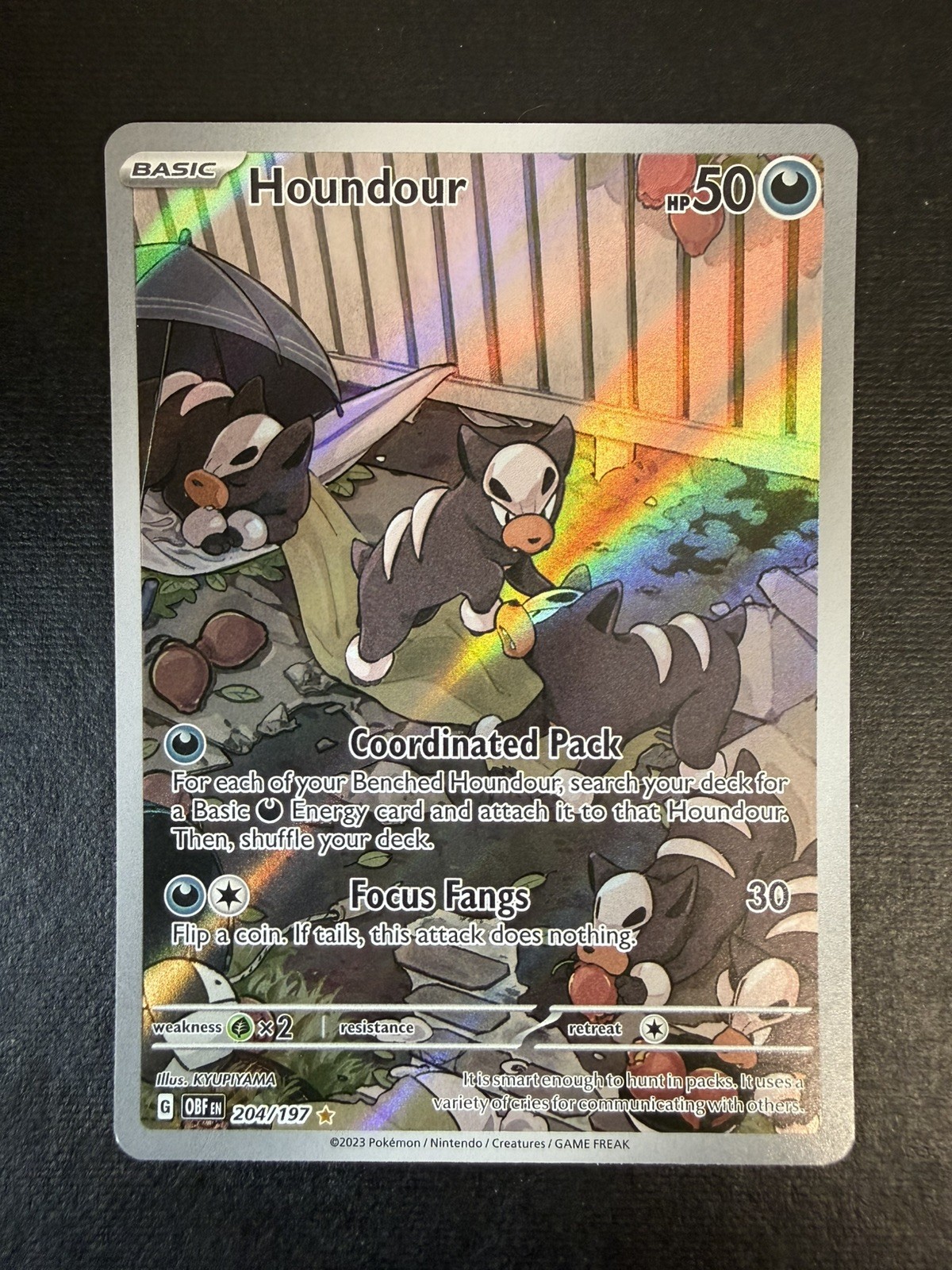 Pokémon Cards: S&V Obsidian Flames: Houndour Illustration Rare 204/197