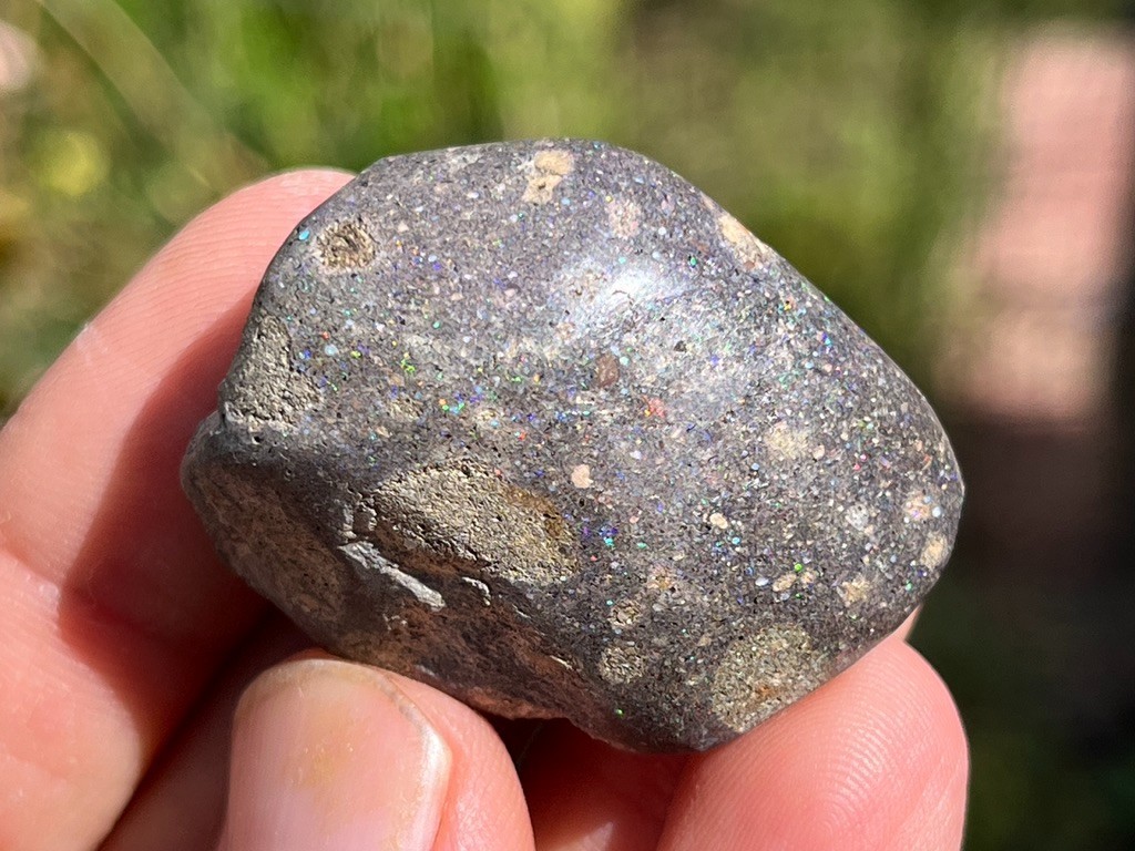 Precious Black Matrix Opal - Gracias a Dios Mine, Honduras 18+ grams, 93+ cts