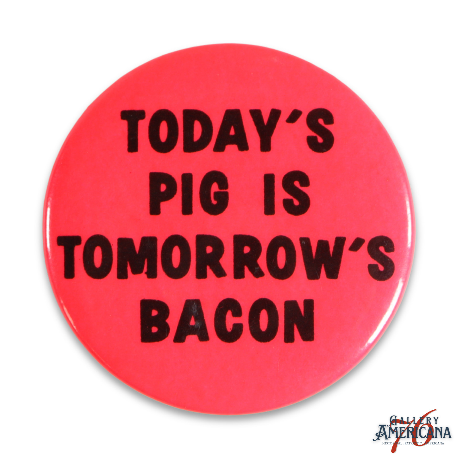 “Today’s Pig Is Tomorrow’s Bacon” Anti-Police Protest Pinback Button 1 1/2