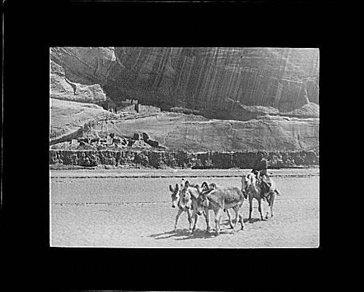 Canyon de Chelly AZ 1899 Navajo Pack Mule Canyon De Chelly Lantern Slide
