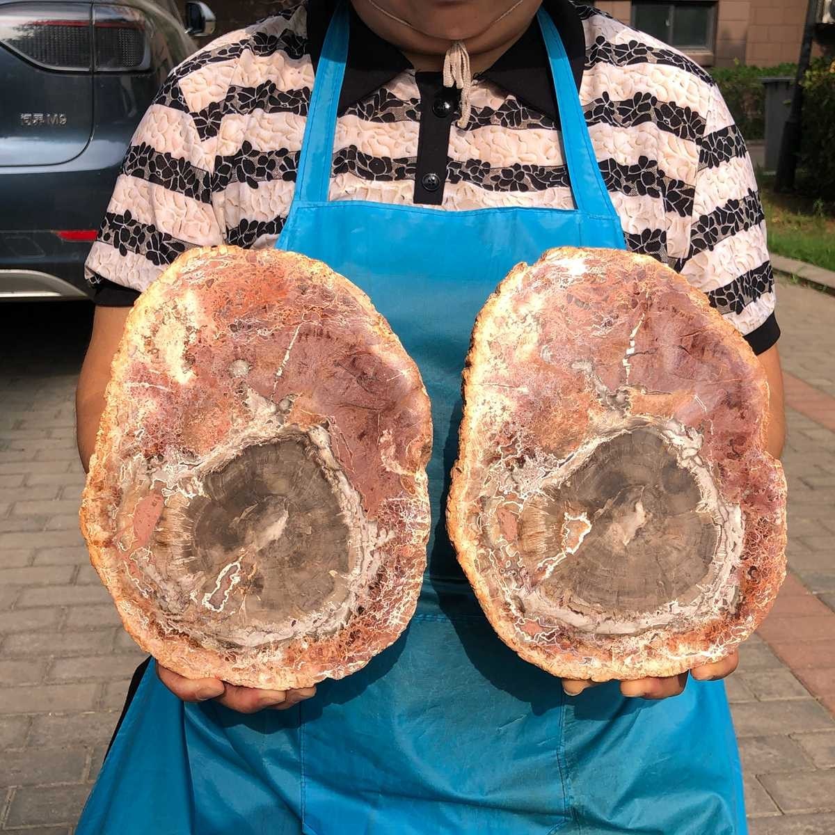 7.12LB 2Pcs Natural Petrified Wood Crystal Fossil Slice Shape Specimen Healing