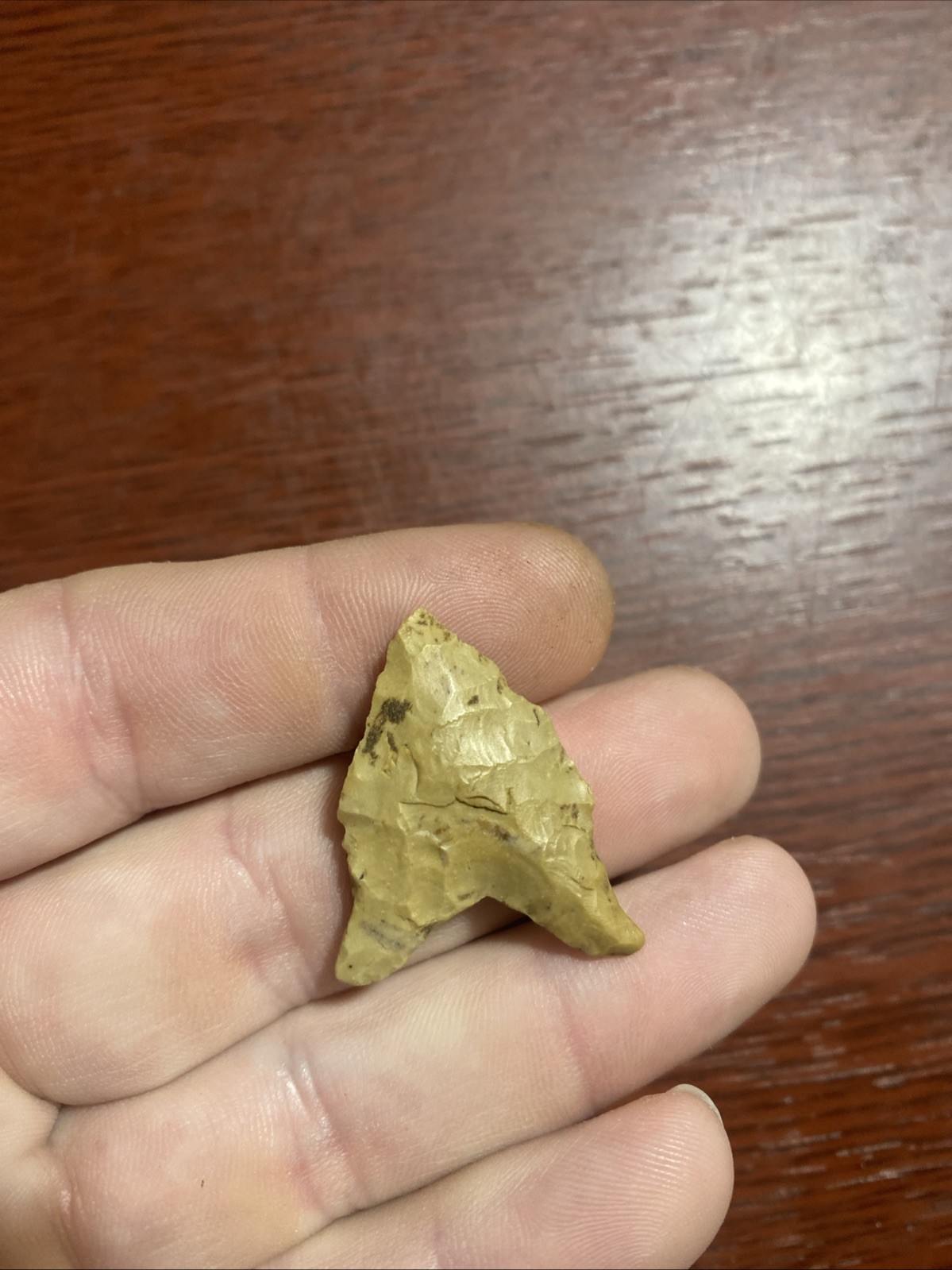 MLC s10329 Rare 1 1/4” Hardaway Dalton Arrowhead Maryland Stone Artifact