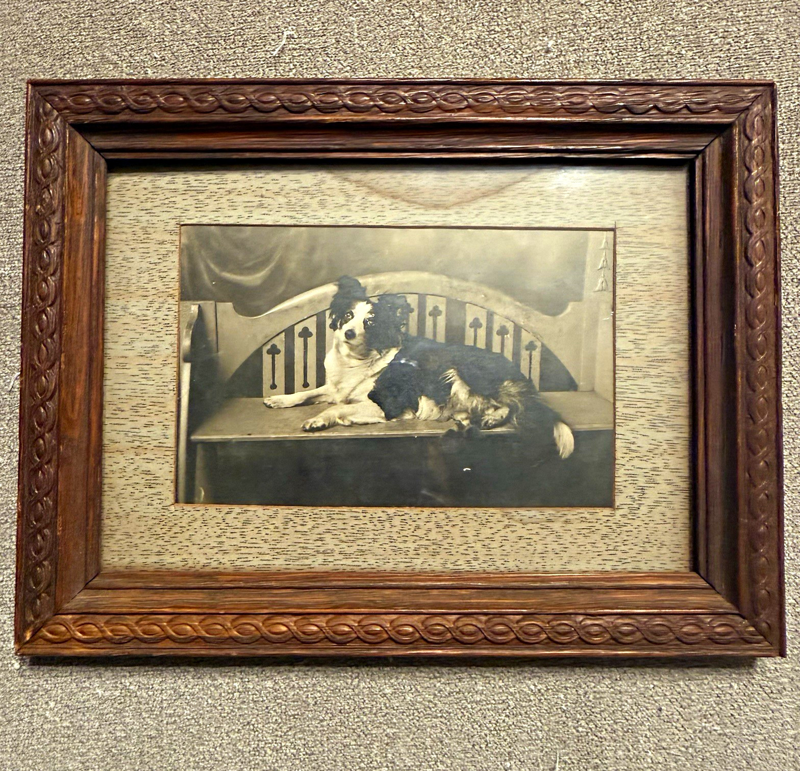 Antique 1910s Framed Dog Photograph Original Studio Portrait Wood Frame