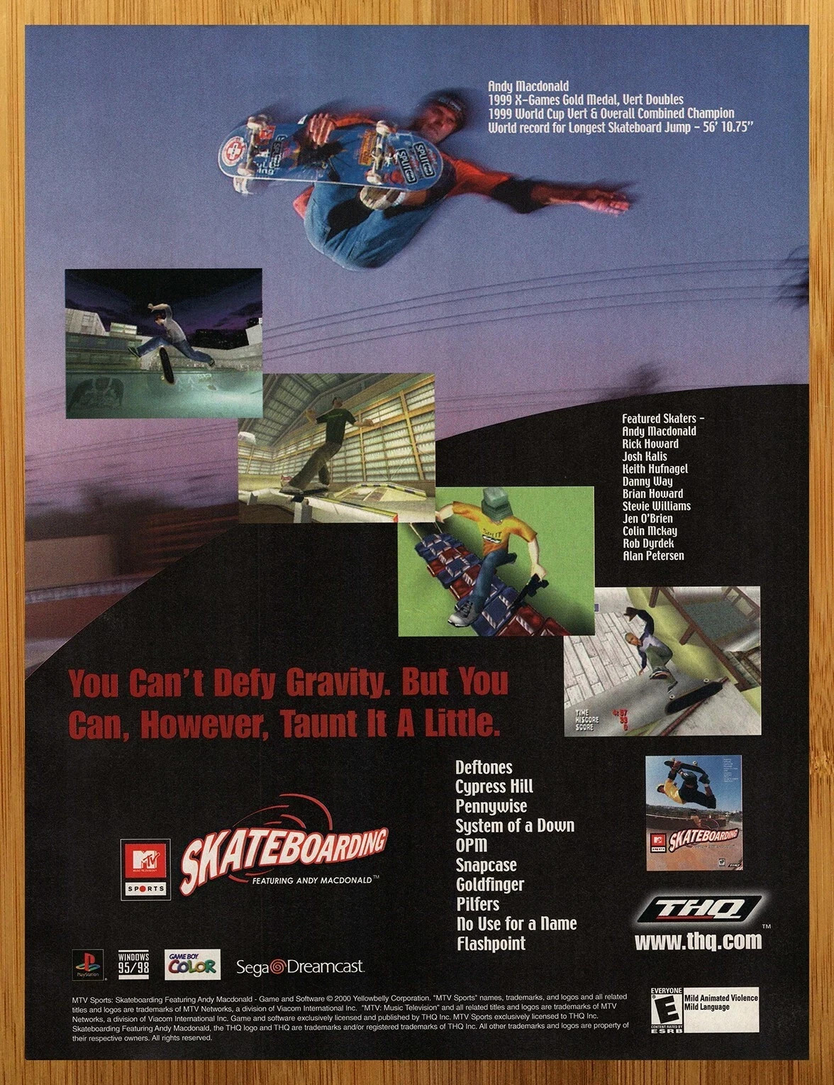 2000 MTV Sports Skateboarding PS2 Dreamcast PC Print Ad/Poster Video Game Art