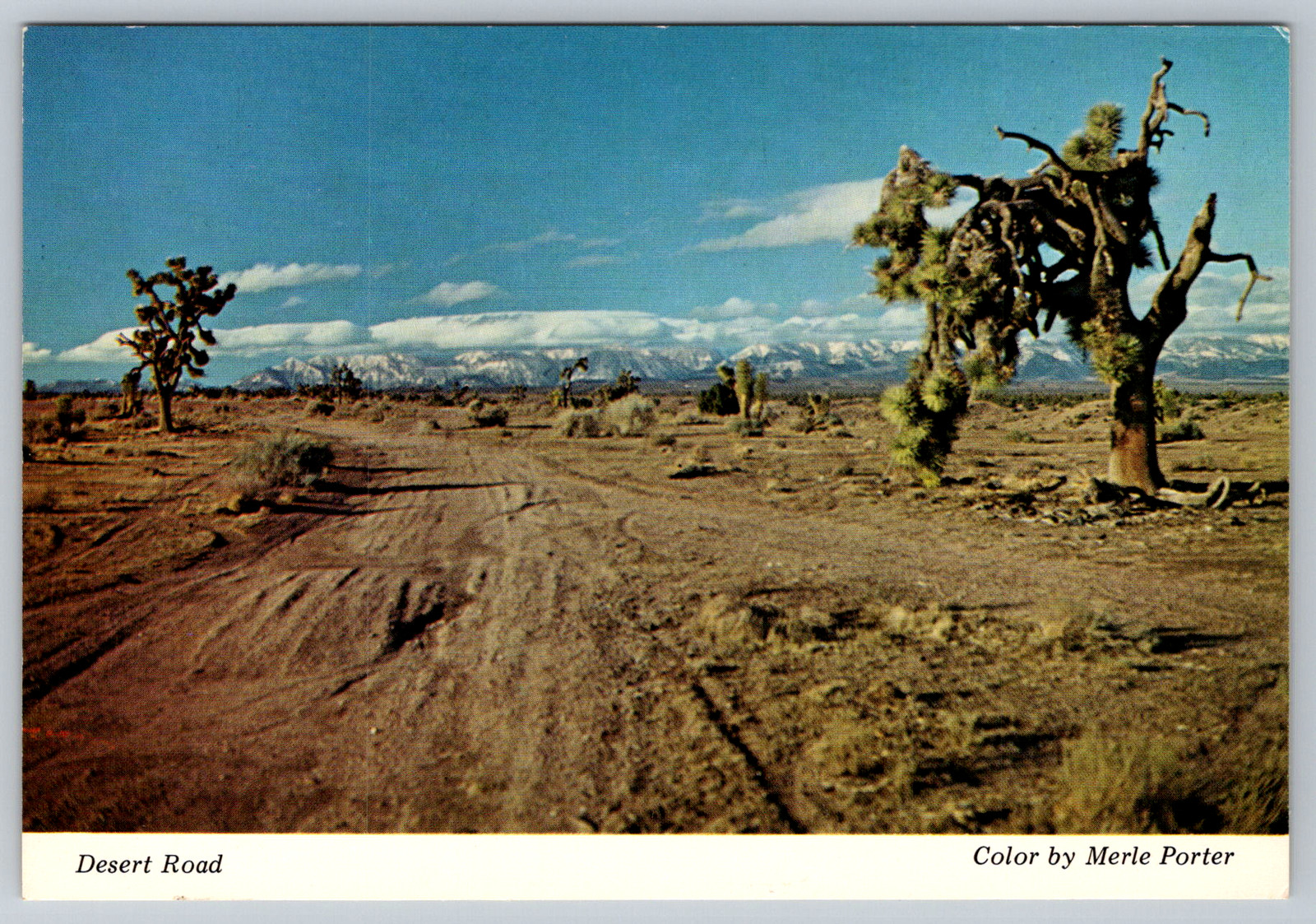 c1950s Desert Road Mojave Merle Porter Royal Pictures California Postcard