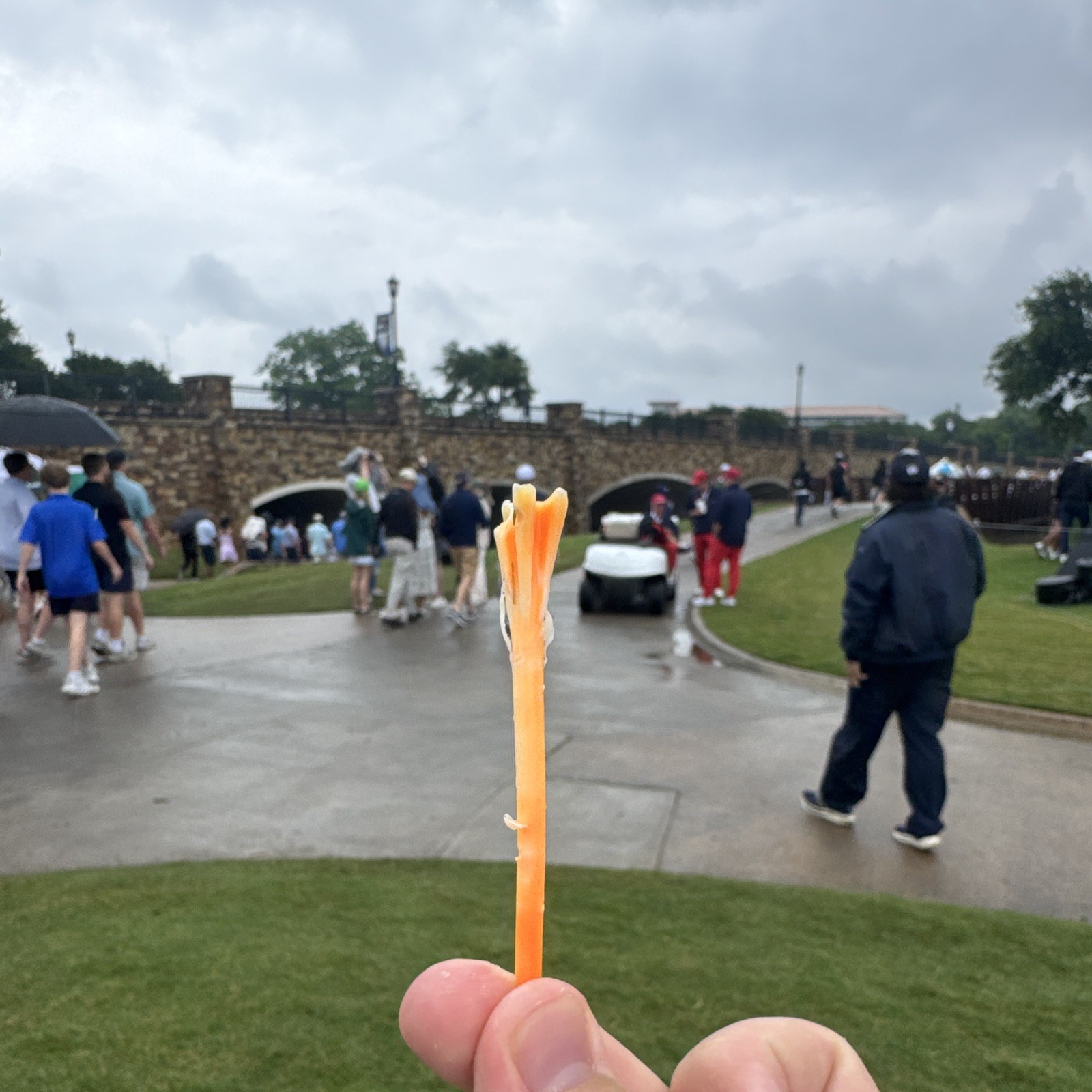 Wyndham Clark Orange Plastic tee used 2026 Byron Nelson Thursday 