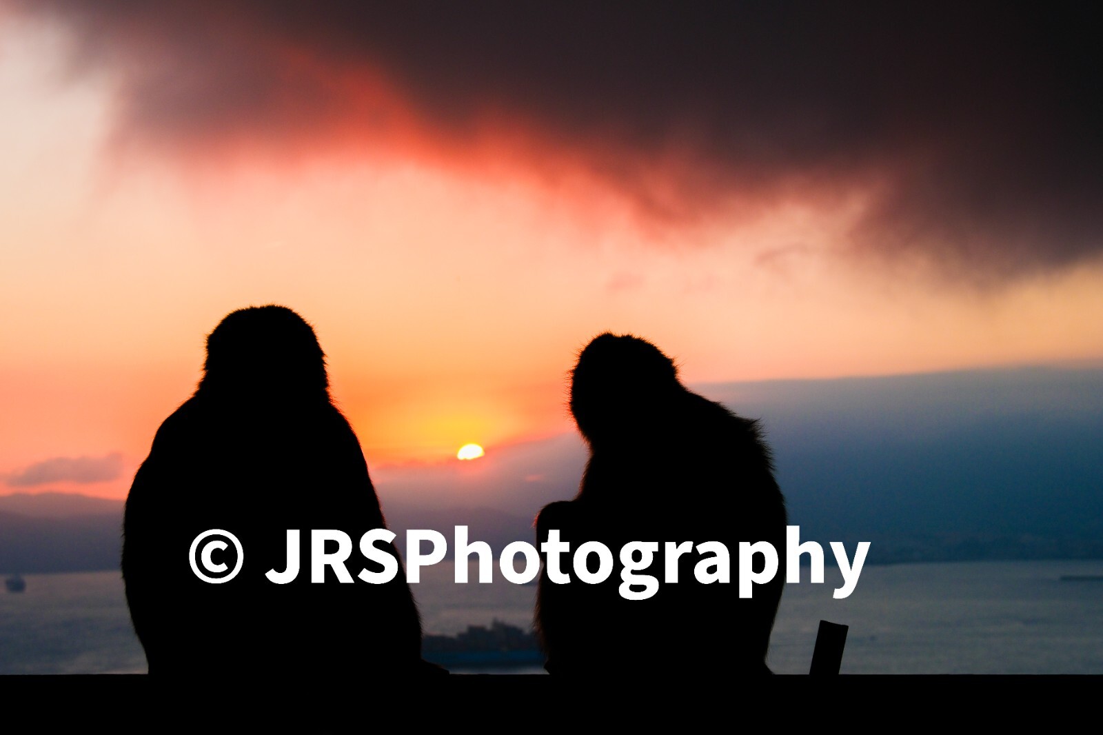 Travel \ Documentary Photography from around the world (A3)