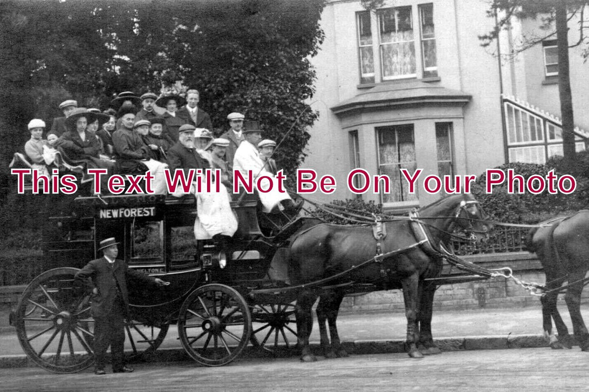 HA 5971 - The Tally Ho Coach, New Forest, Hampshire c1910