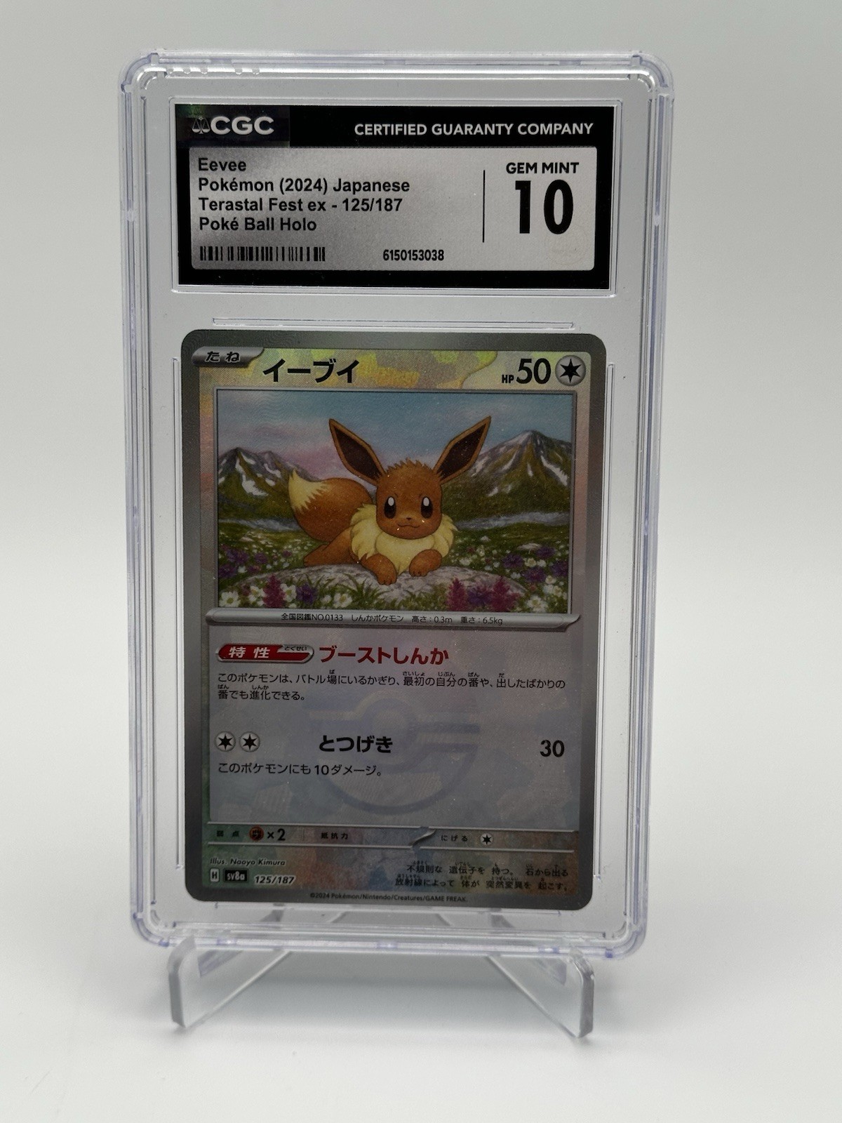Pokémon 2024 Japanese Terastal Fest ex Eevee #125/187 Poké Ball Holo CGC 10