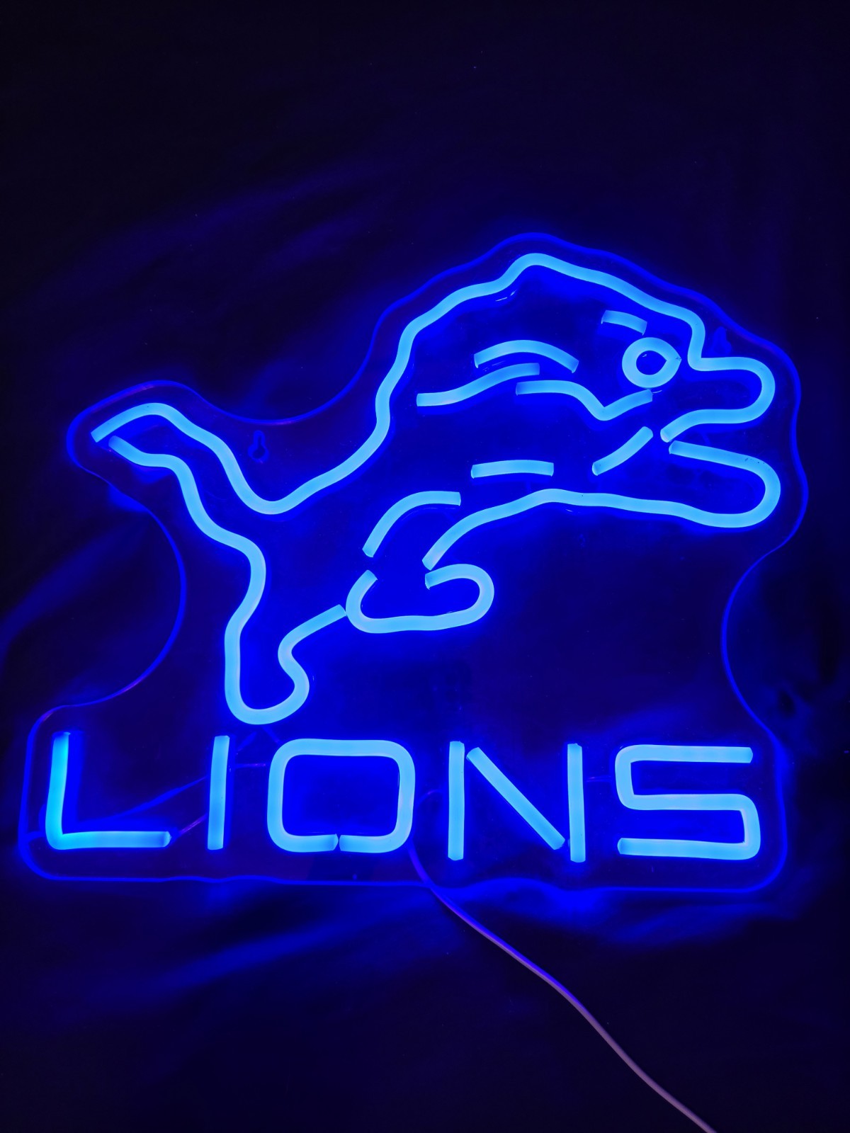Detroit Lions Man Cave 17\