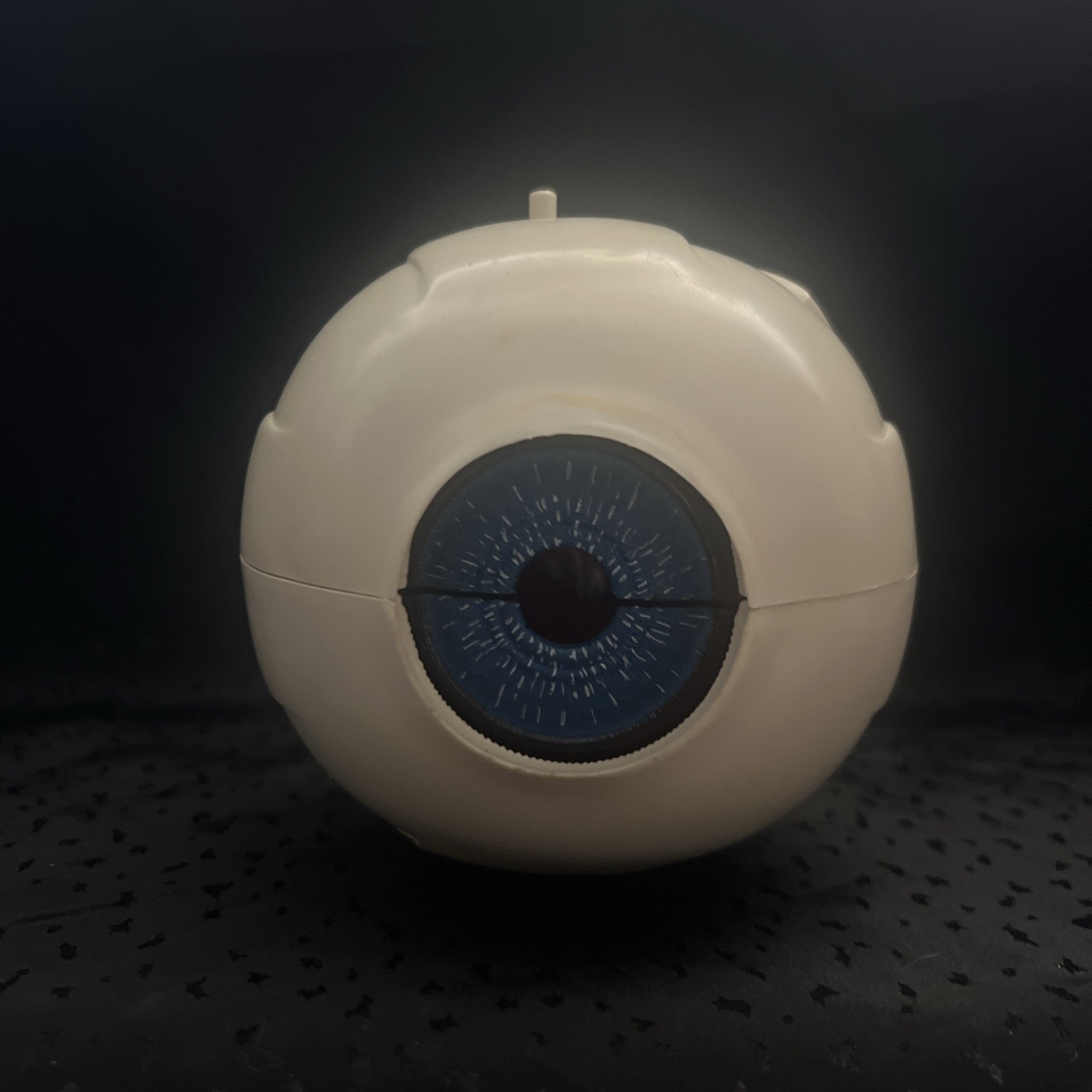 Vintage MERCK Anatomical Human Eye Model