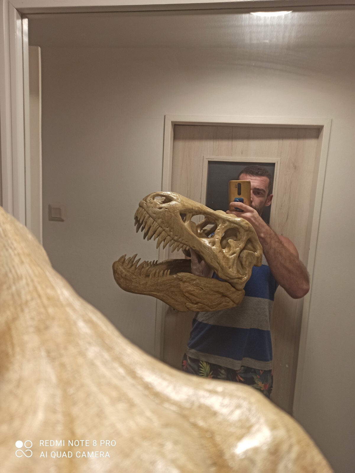 T-Rex skull replica very big, Tyrannosaurus rex skull fossil, cheapest on ebay
