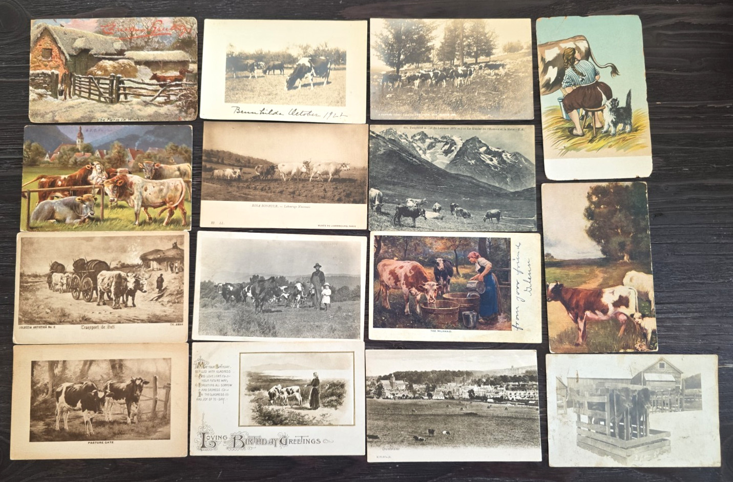 C. 1910s-1940s Antique Cow Bovine Farming Postcard Lot Of 15