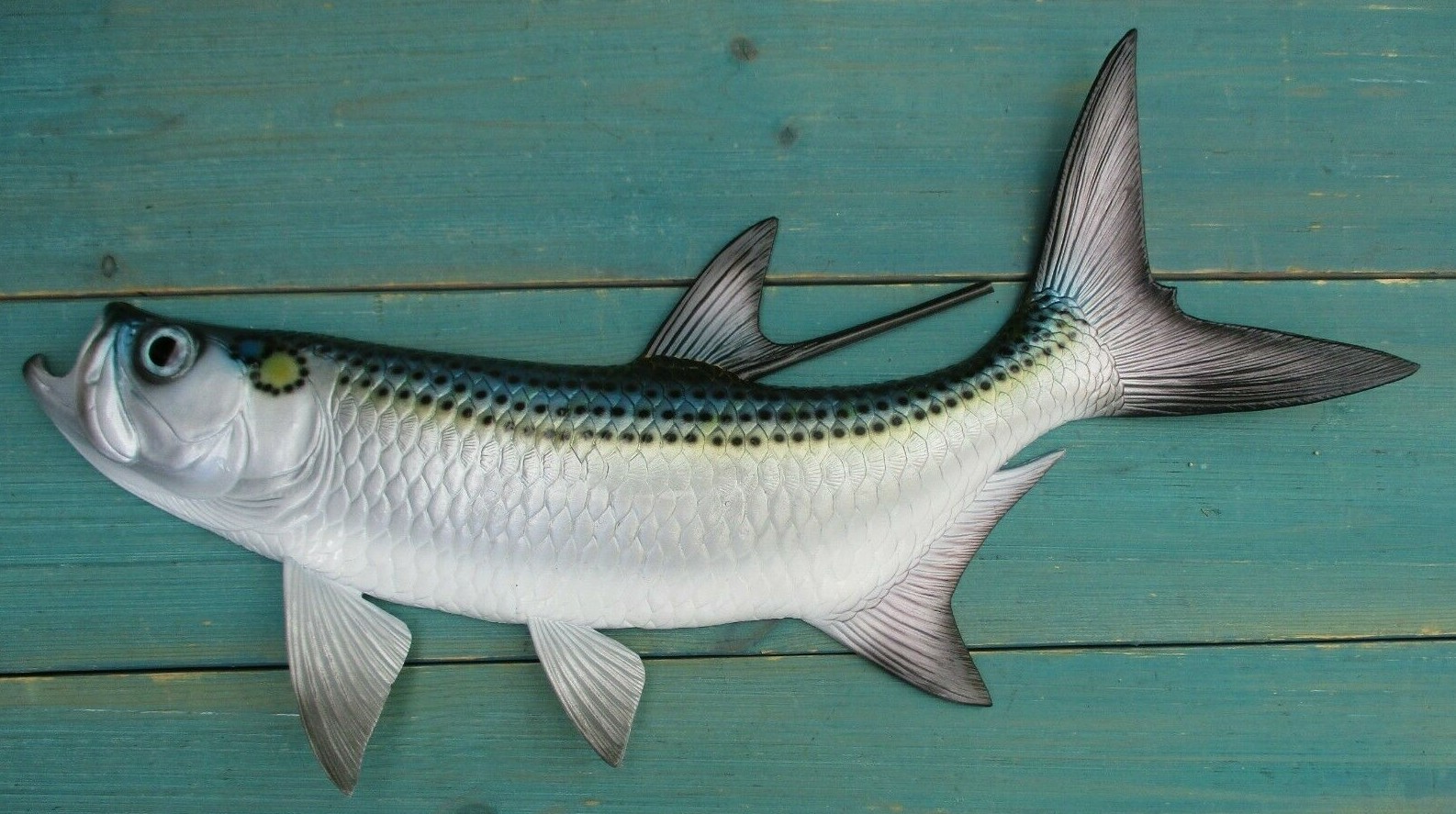 Tarpon Hand Painted 19