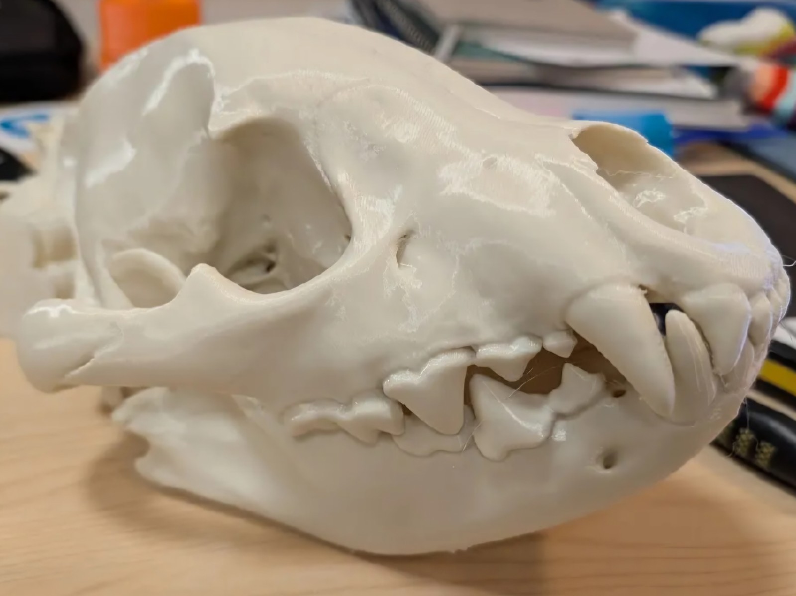3D Printed Laughing Hyena Skull
