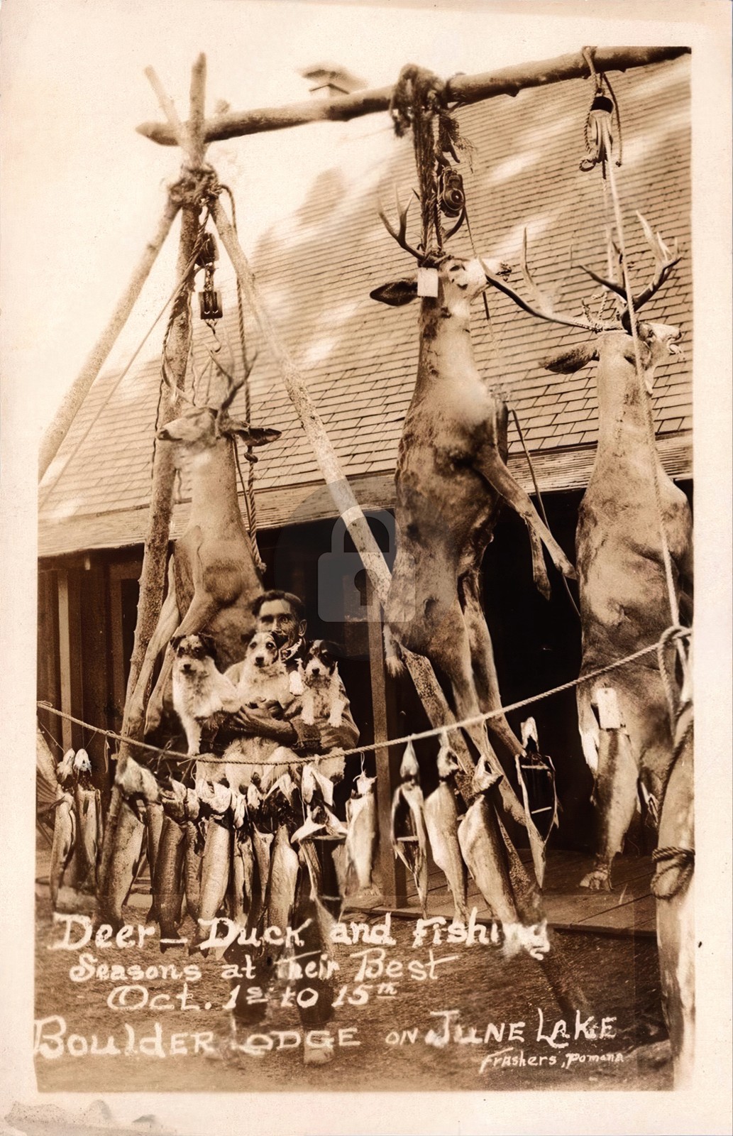 June Lake CA Boulder Lodge Fishing & Hunting Ad Frashers RPPC Postcard COPY