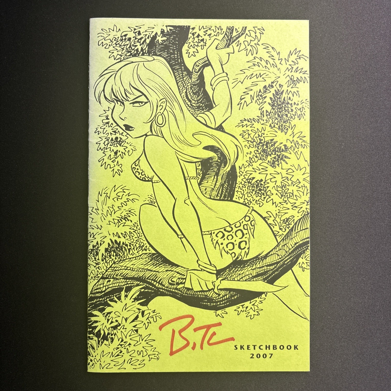 Bruce Timm Signed Sketchbook 2007 RARE HTF