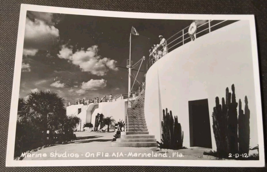 Marineland, St. Augustine FL RPPC Marine Studios Real Photo Postcard PC