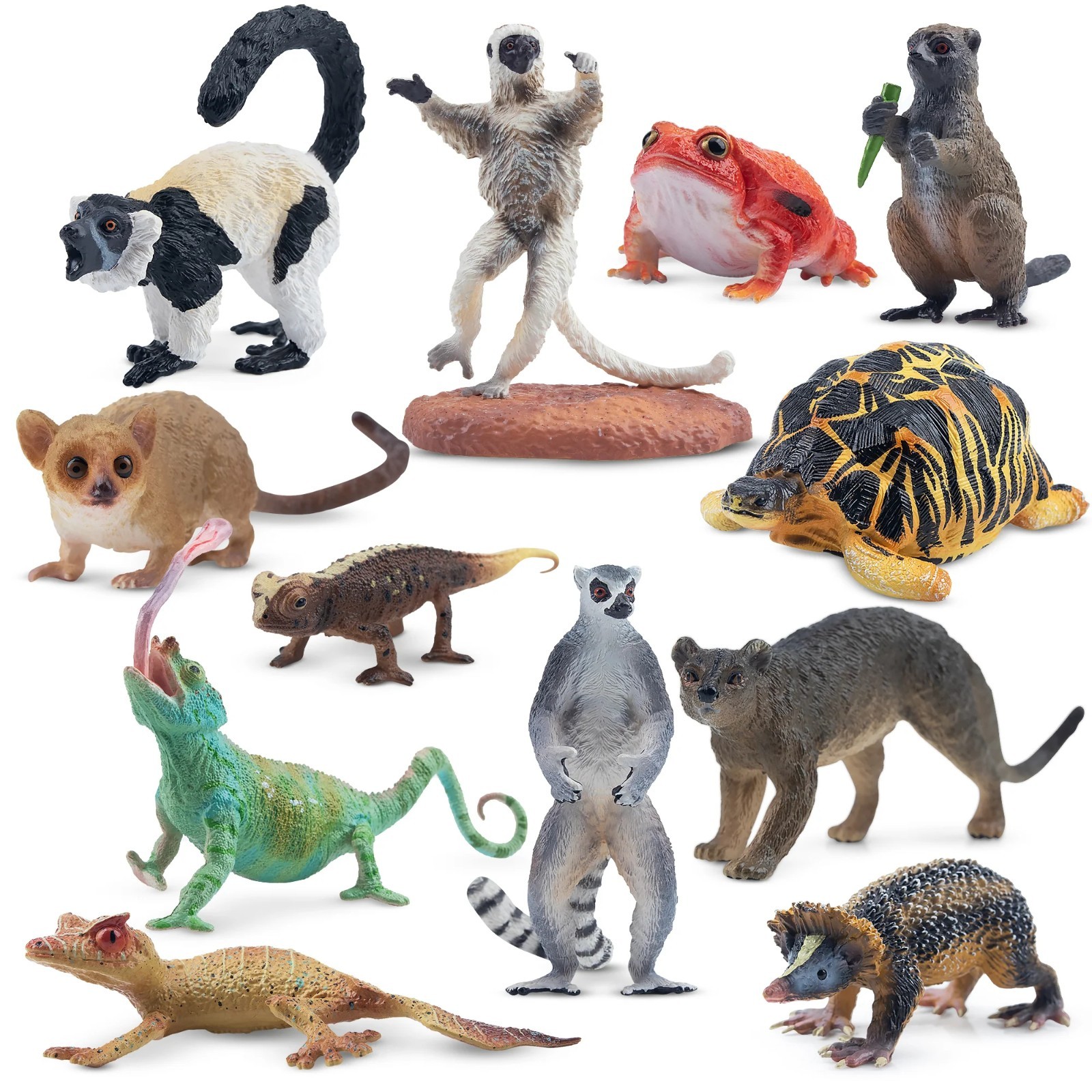 Toymany Madagascar Animal Figurine, Realistic, Collectible Hand-painted  Toy Set