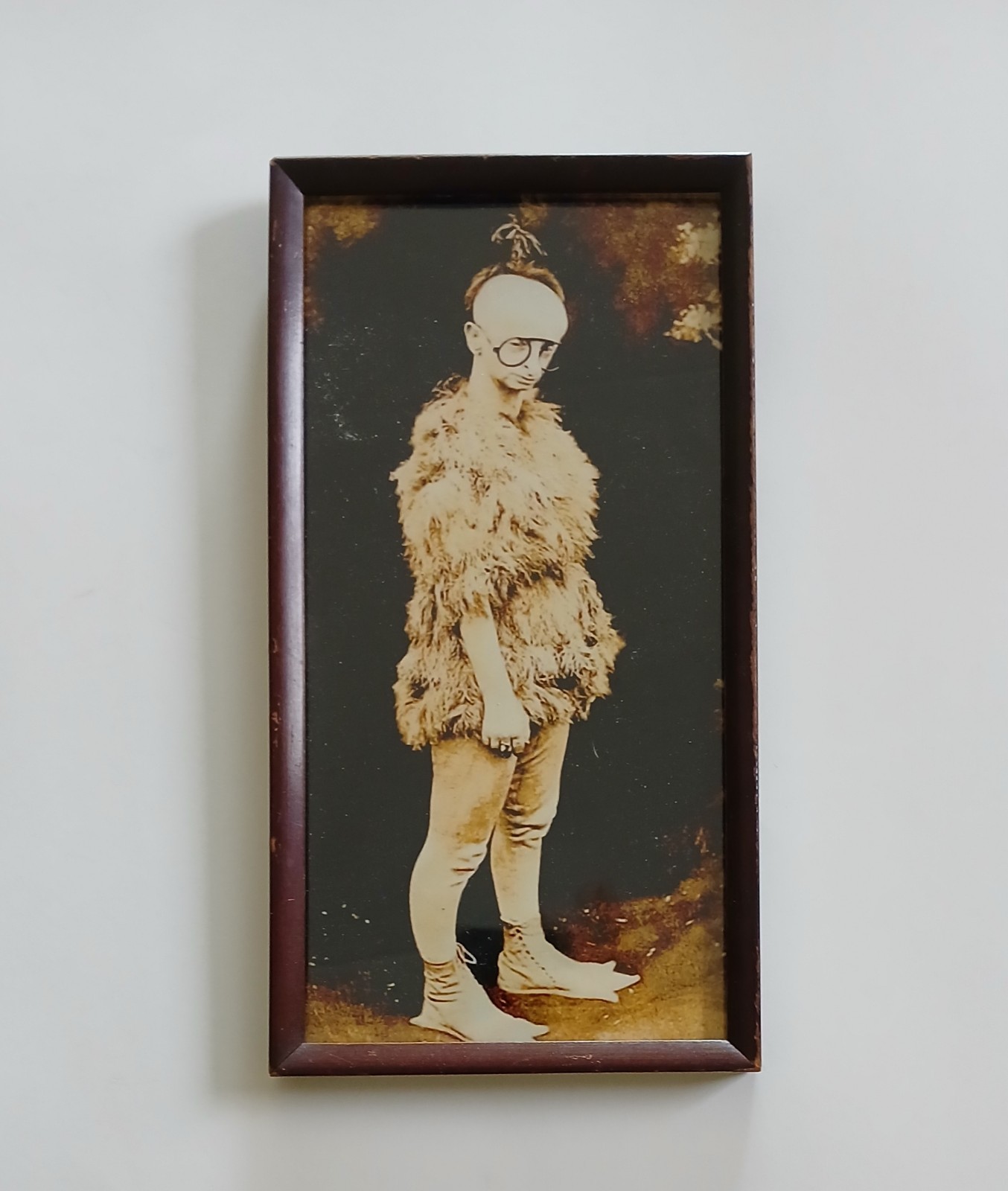 Vintage Frame With Koo Koo The Bird Girl Photo Tod Browning Freaks Sideshow 