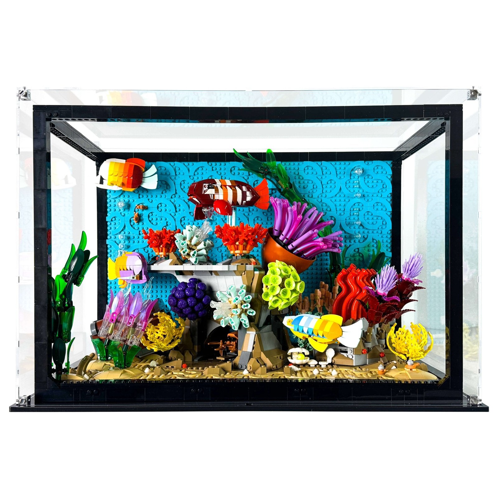 Display Case for LEGO® 10366 Icons Tropical Aquarium
