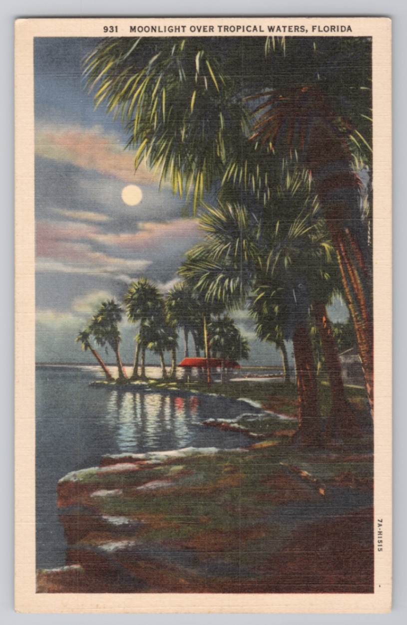 Moonlight Over Tropical Waters, Florida Vintage Linen Postcard 1930s