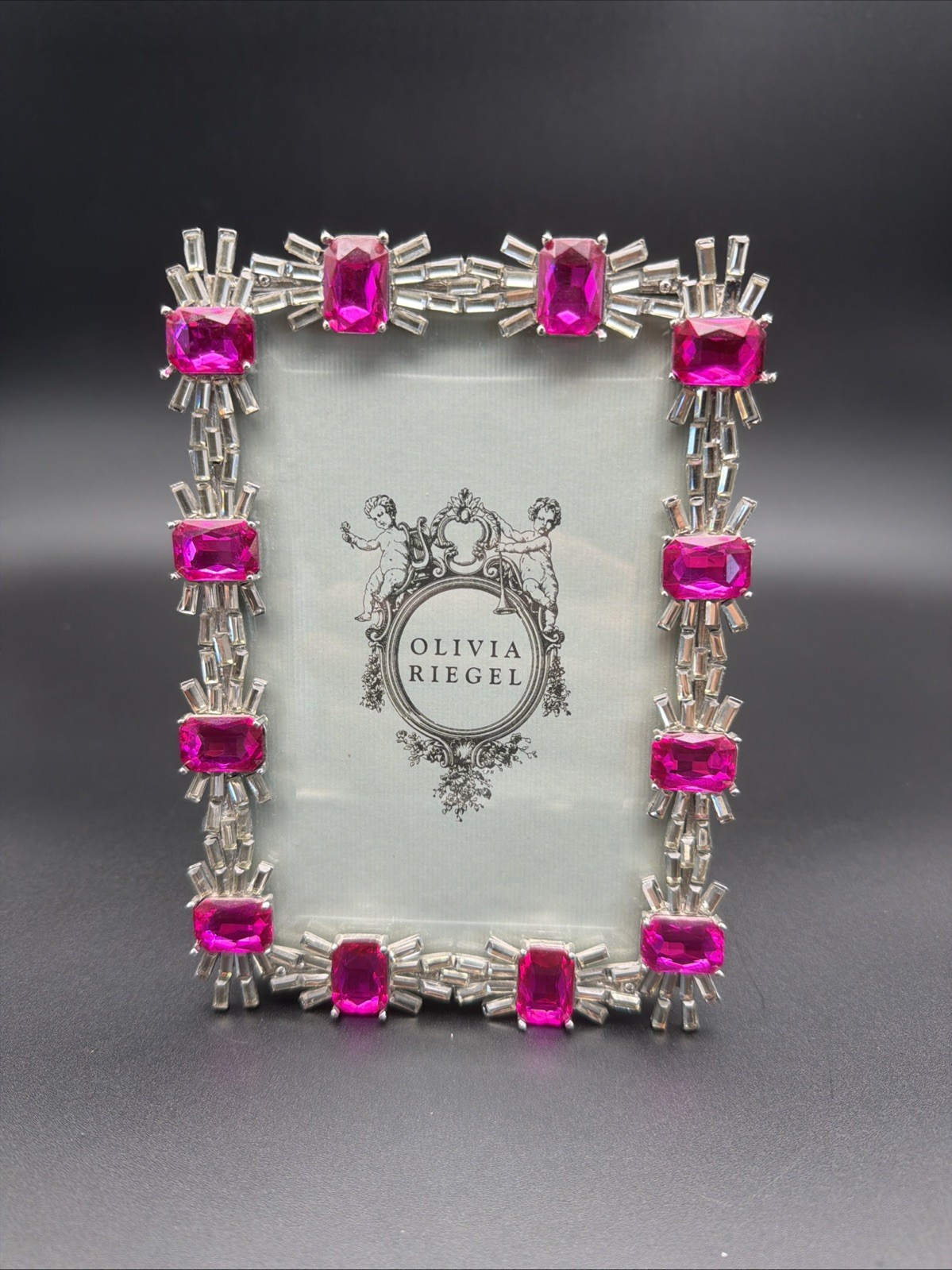 Olivia Riegel Hamilton Ruby Crystal Picture Frame 4x6 Silver-Tone Jeweled