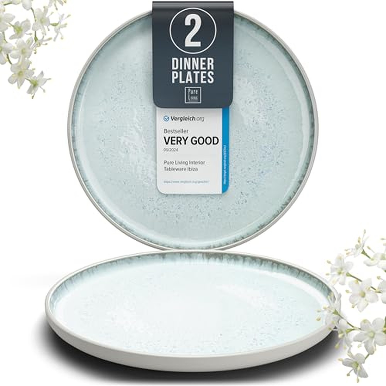 Stoneware Dinner Plate Set for 2, 10.6\