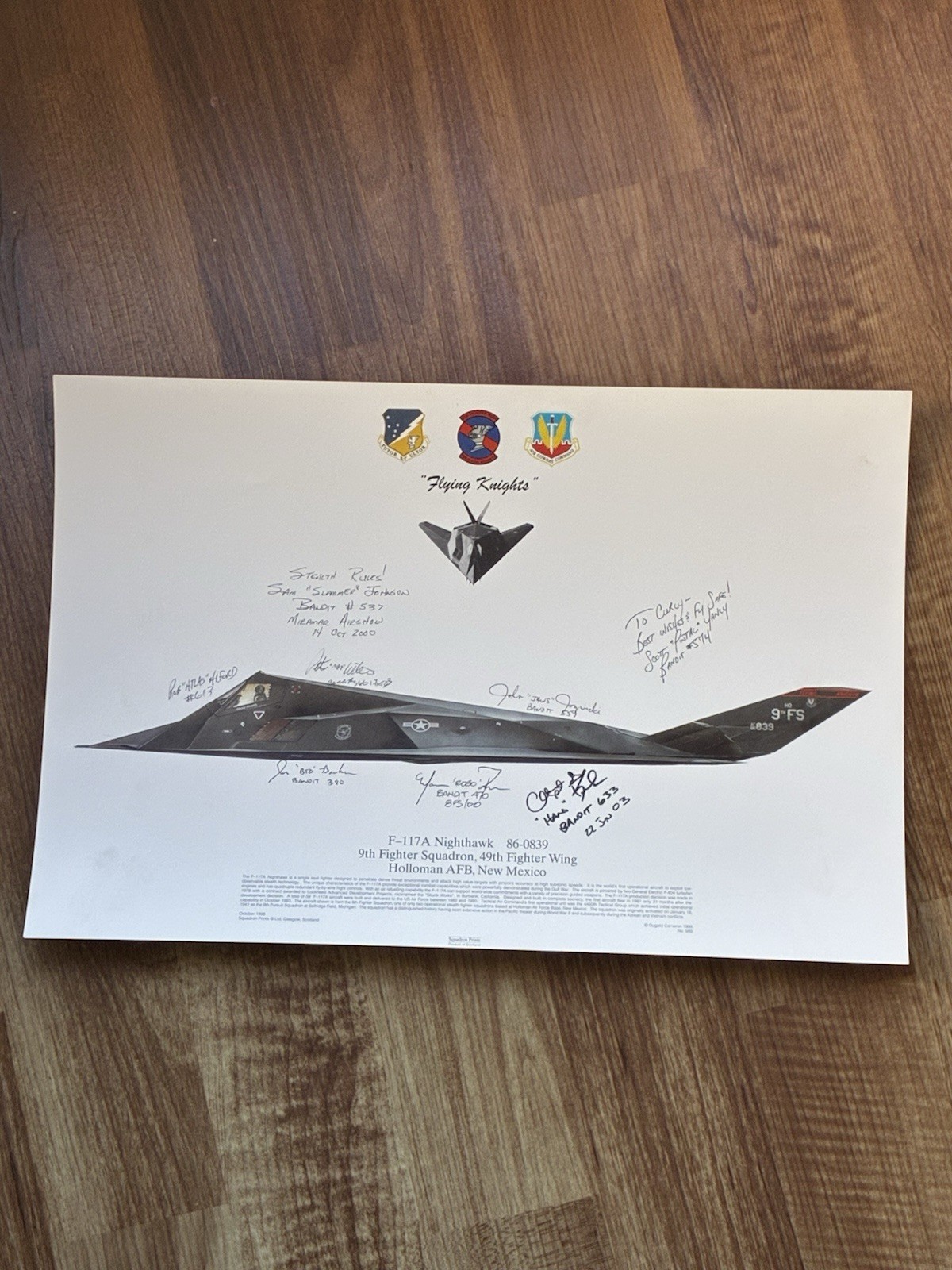 Signed F-117A Nighthawk Stealth Fighter Squadron Print - 9th FS - Bandit Pilots