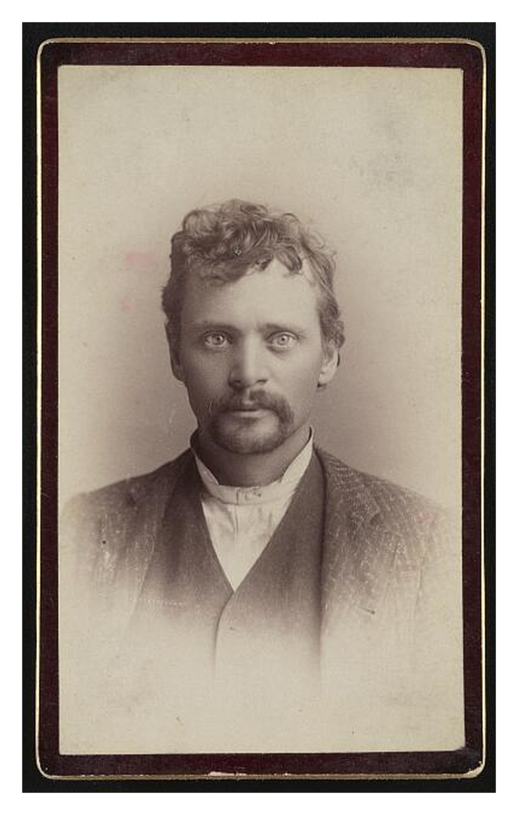 Wilson New York Robert Wilson Standard Postcard