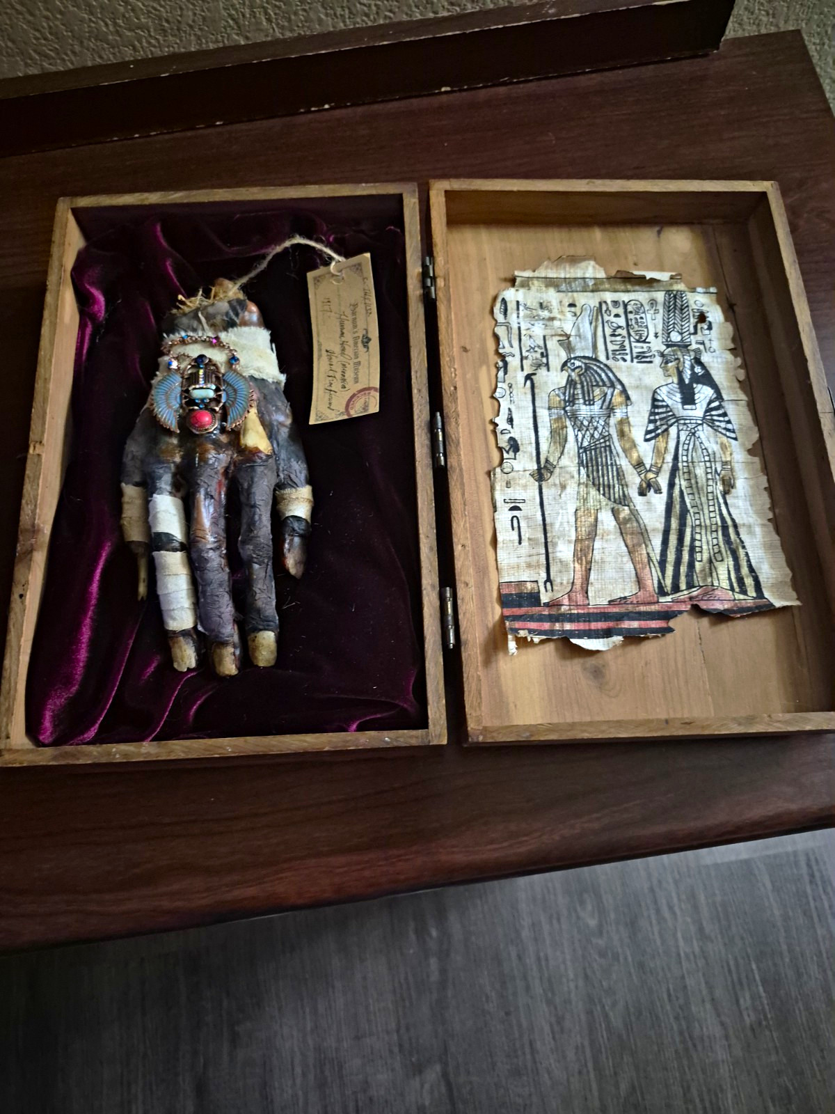 Great Halloween Art Item- Cool Carny Gaff Egyptian Mummy Hand With Box