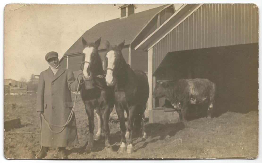 Putnam Illinois IL Man With Horses Outside Barn RPPC Real Photo 1912