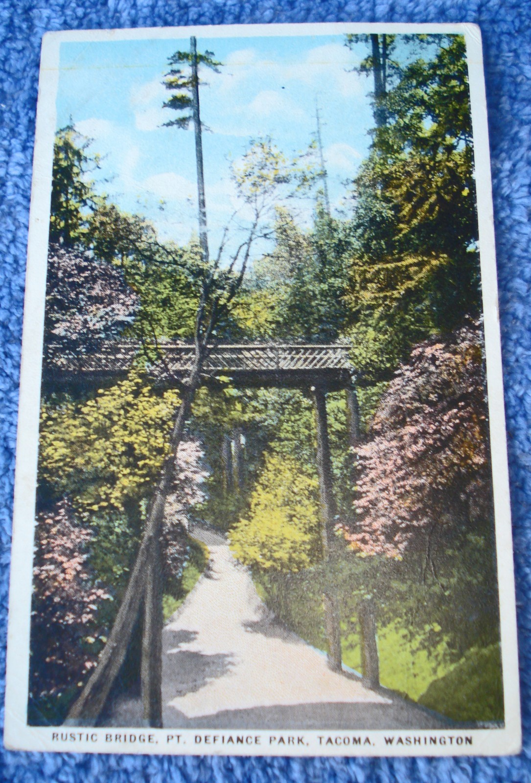 1907 POSTCARD  RUSTIE BRIDGE AT POINT DEFIANCE PARK, TACOMA, WASHINGTON - UNUSED