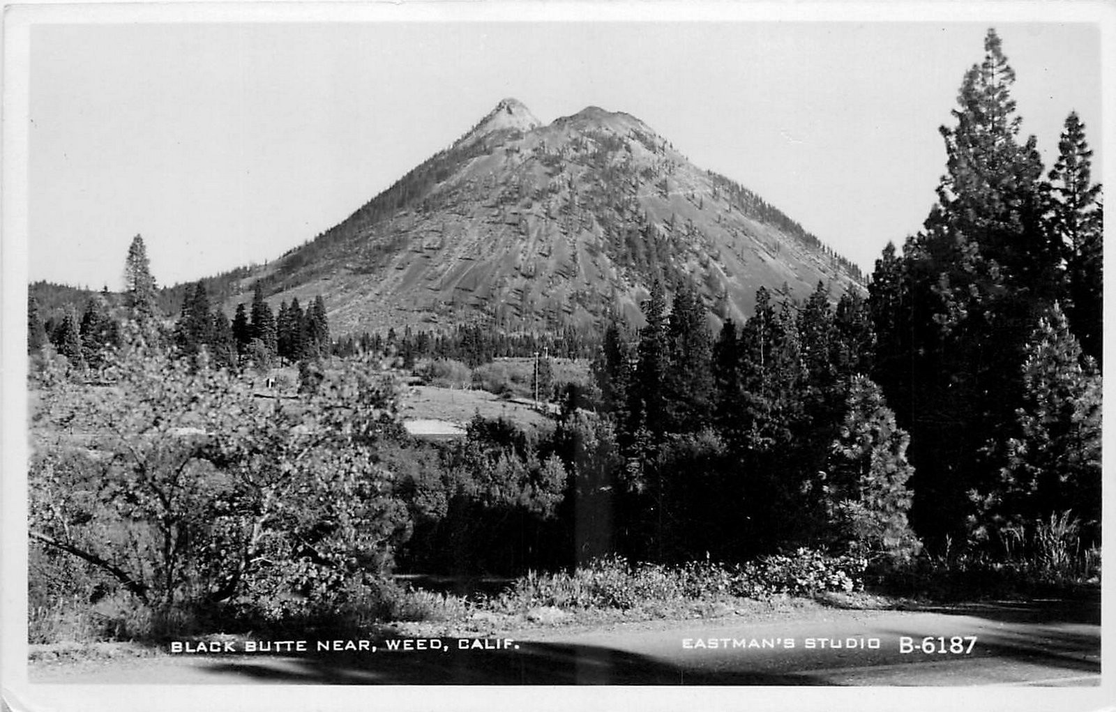 1930s Weed California Black Butte Eastman Studios RPPC Postcard 26-1578