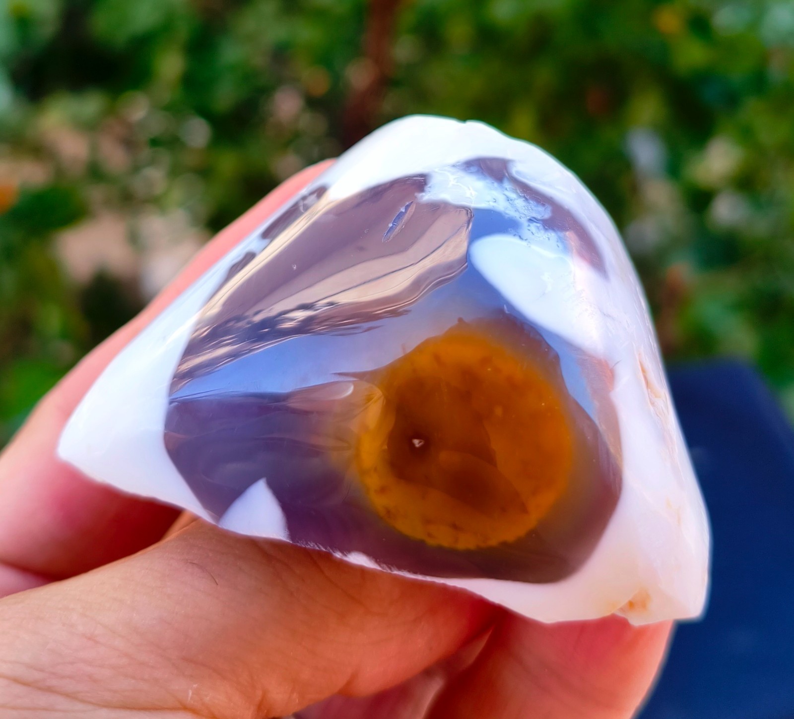 Mirror Polished  Honey Chalcedony Eye in Blue Chalcedony Nodule with Milk Opal