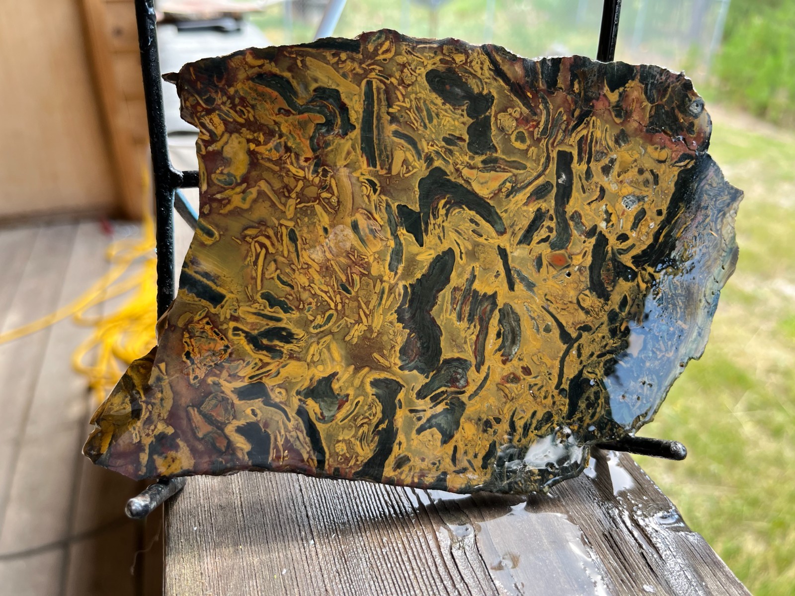 KALEIDOSCOPE JASPER SLAB FROM THE OREGON RHODES MINES SPECTULAR  5.7 X 4.6 X .30