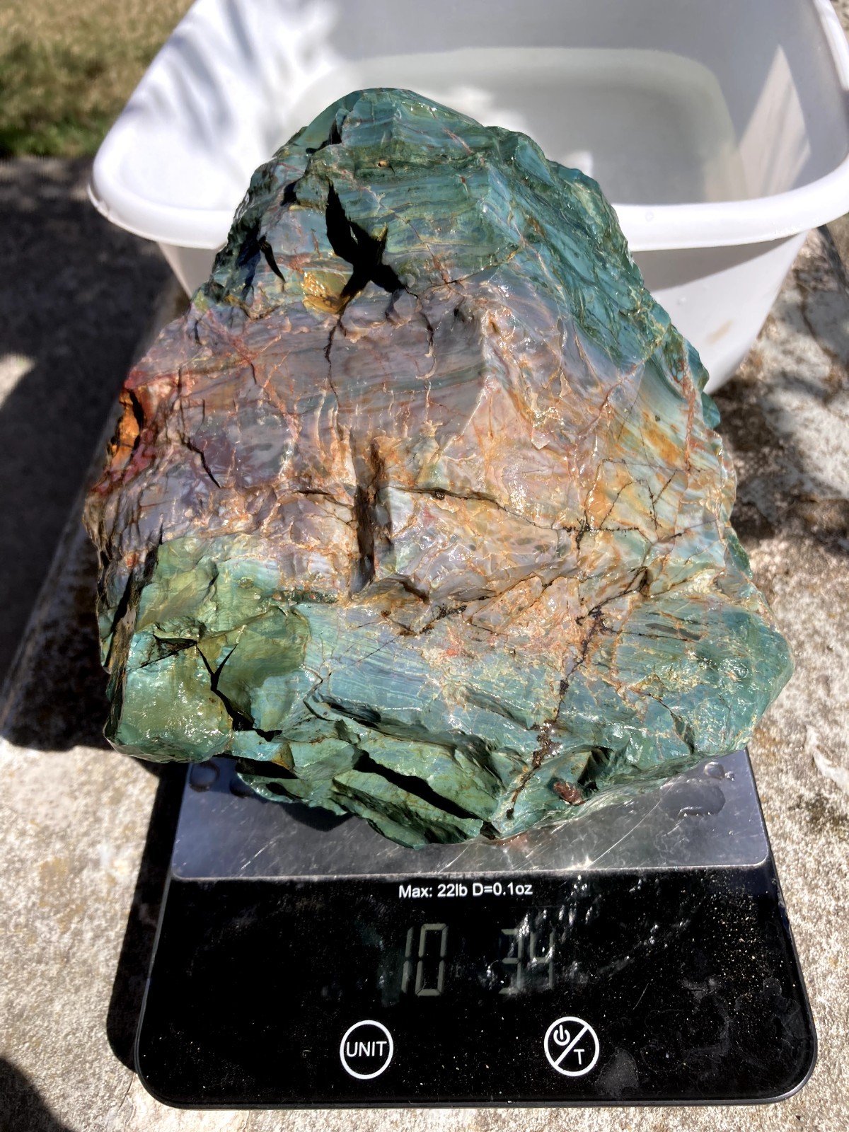 Rare central Oregon old stock Skaggs jasper AAA highest grade gem quality 10.03#