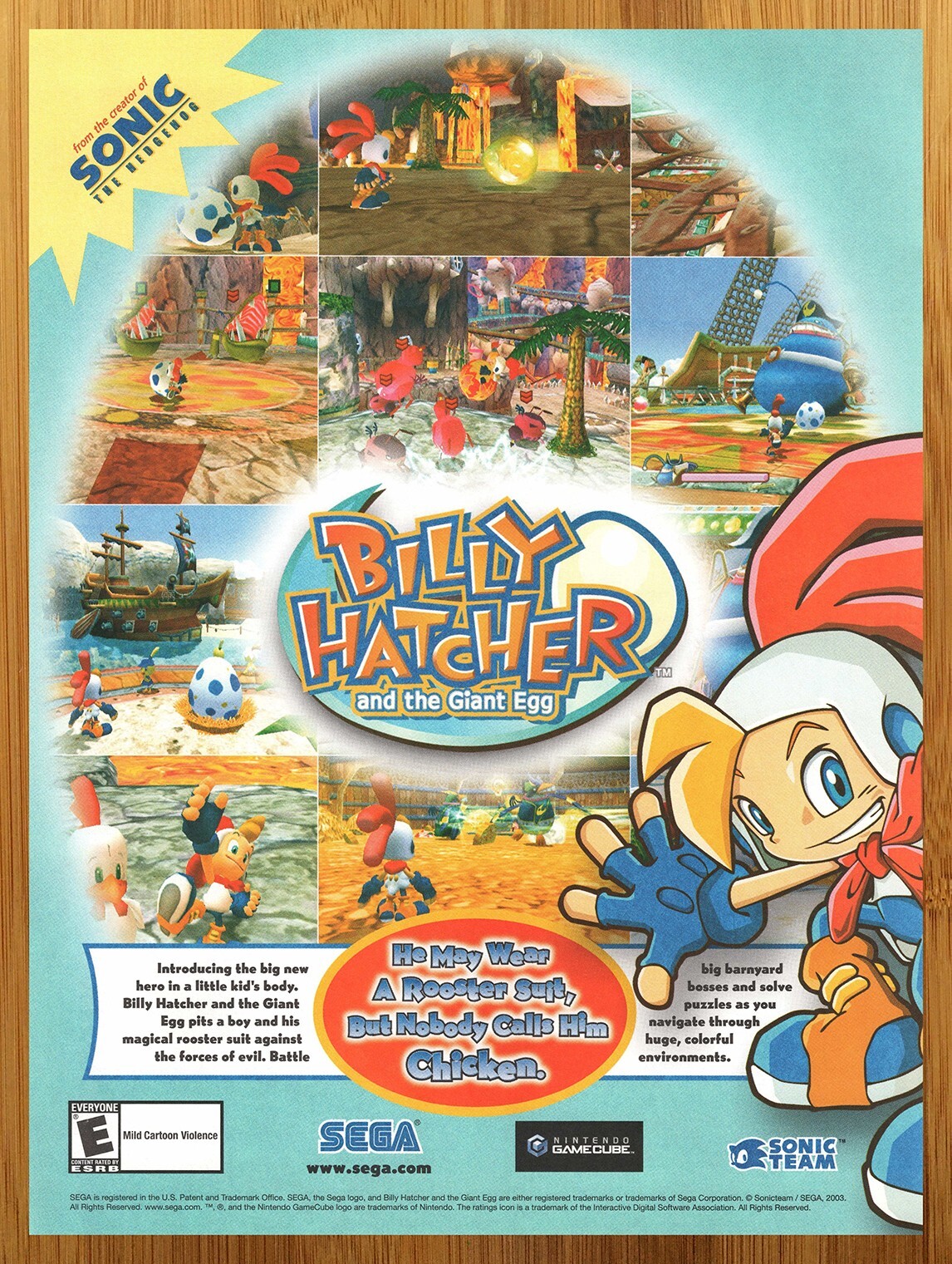 2003 Billy Hatcher & The Giant Egg Nintendo Gamecube Print Ad/Poster Game Art