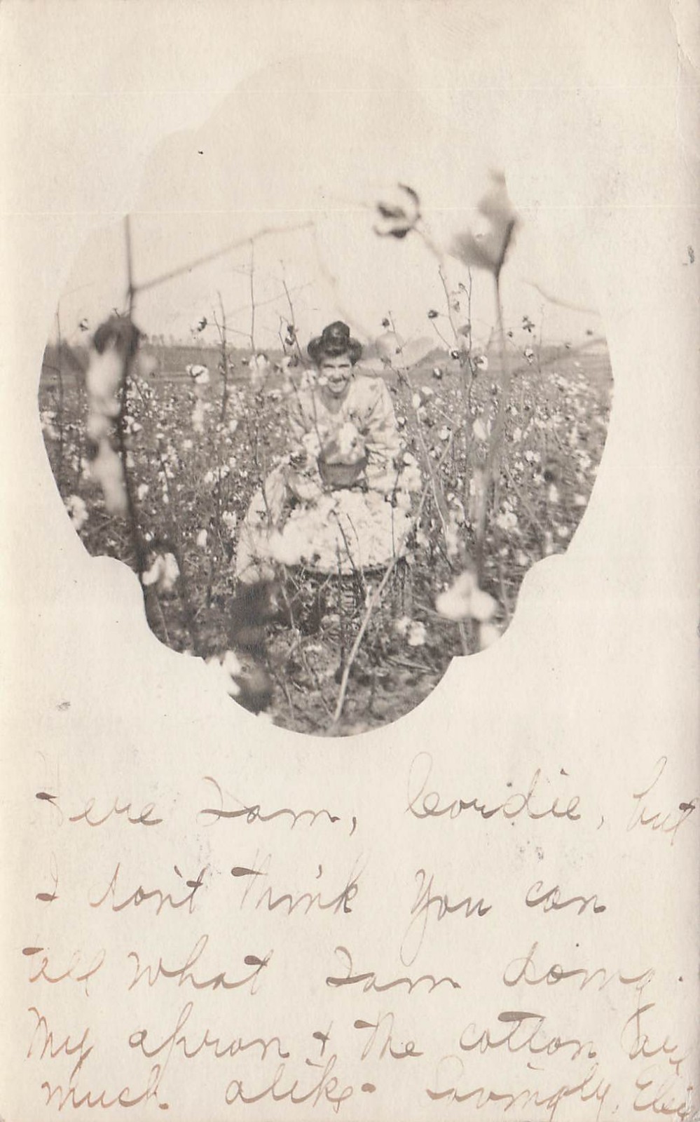 Holland Georgia Cotton Plantation Farm DPO near Summerville Photo Postcard J76