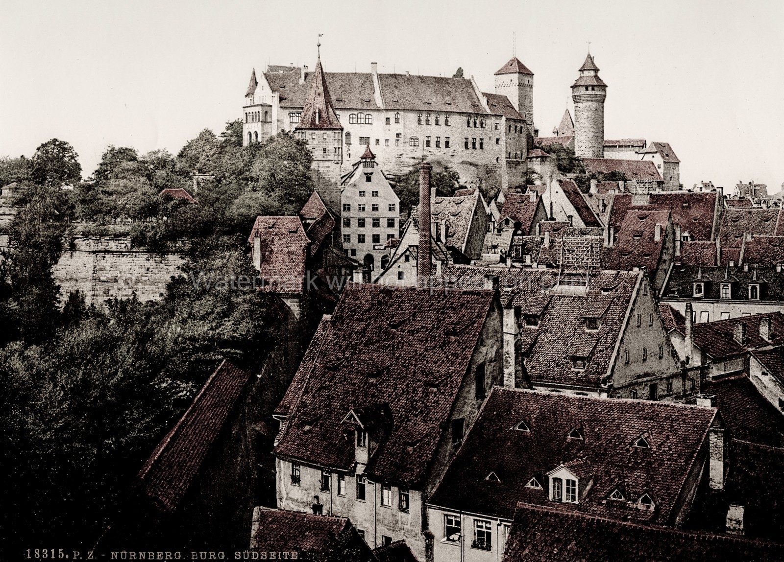 Nuremberg Castle Cityscape Rooftops Bavaria Germany Vtg. Photo 19thC.