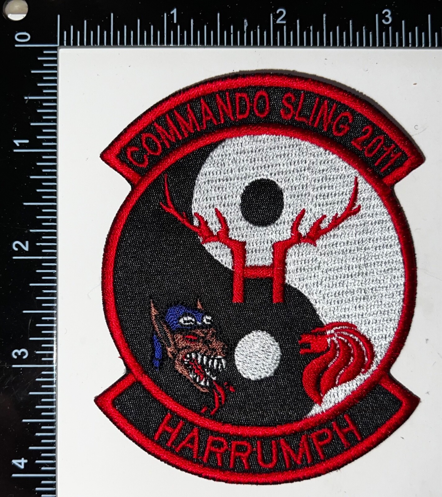 USAF 36th Expeditionary Fighter Squadron Fighting Fiends Commando Sling 11 Patch