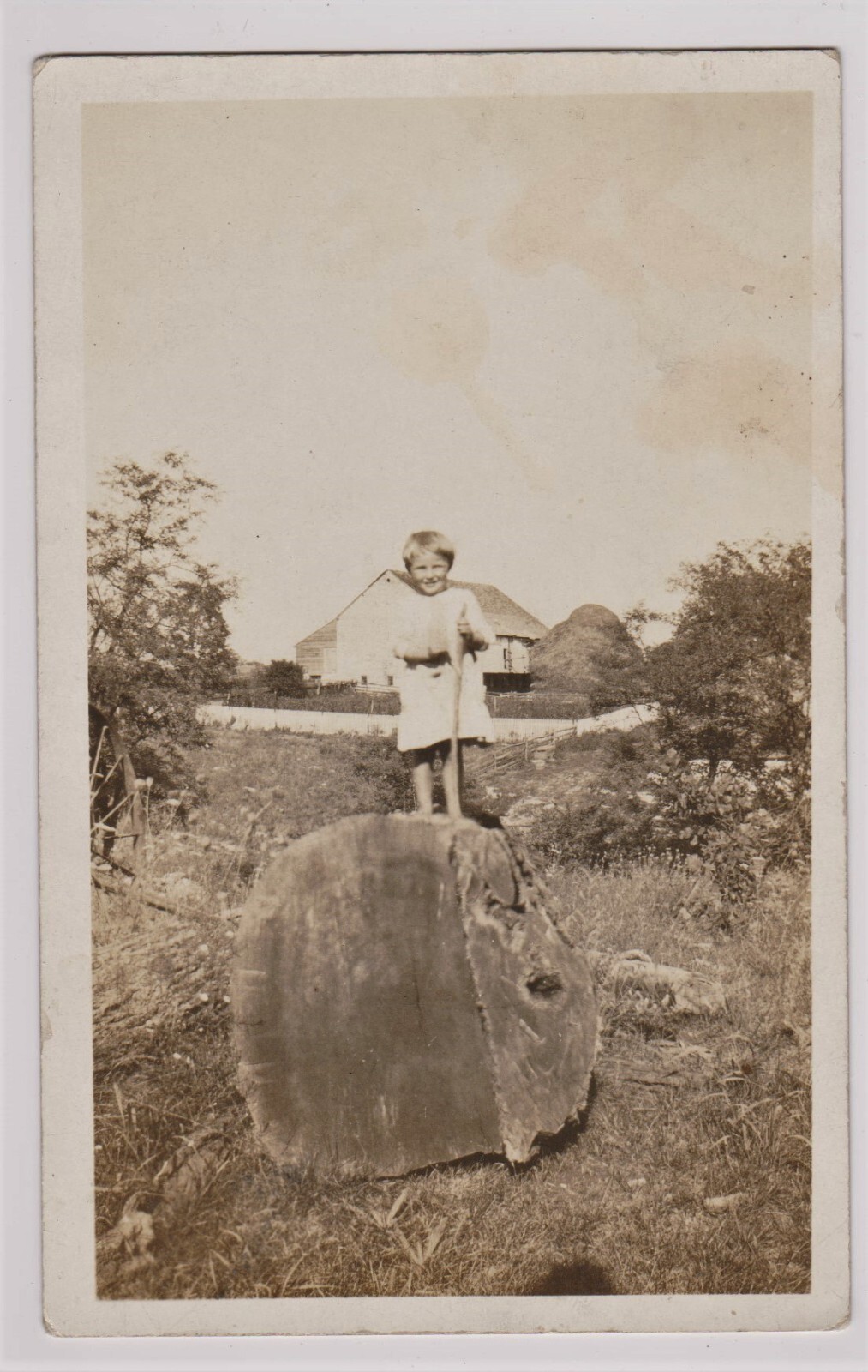 RPPC PRETTY GIRL HUGE TREE LOG FARM HAYSTACK EARLY 1900's REAL PHOTO POSTCARD