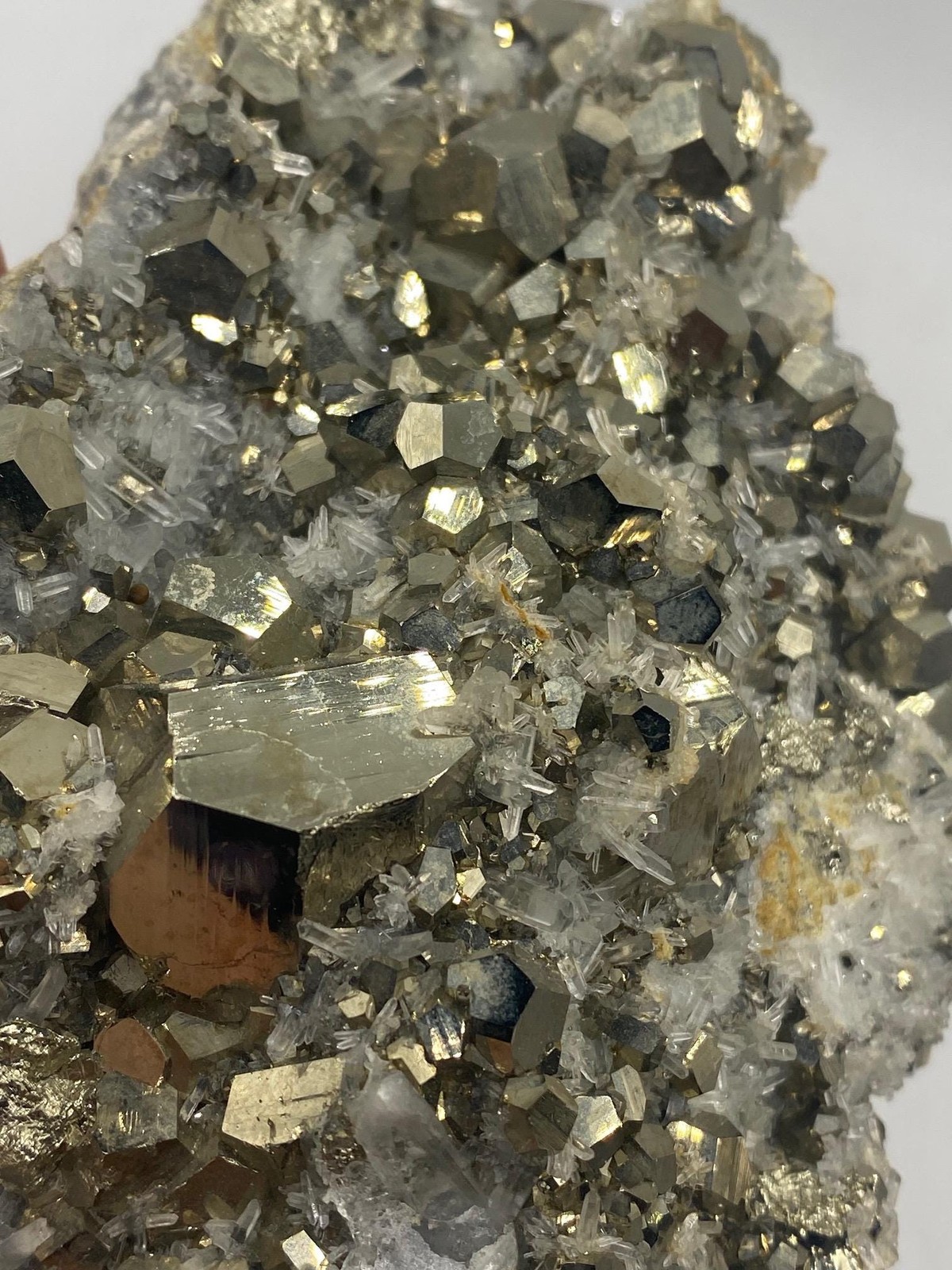 Shiny Golden Pyrite with Quartz crystals