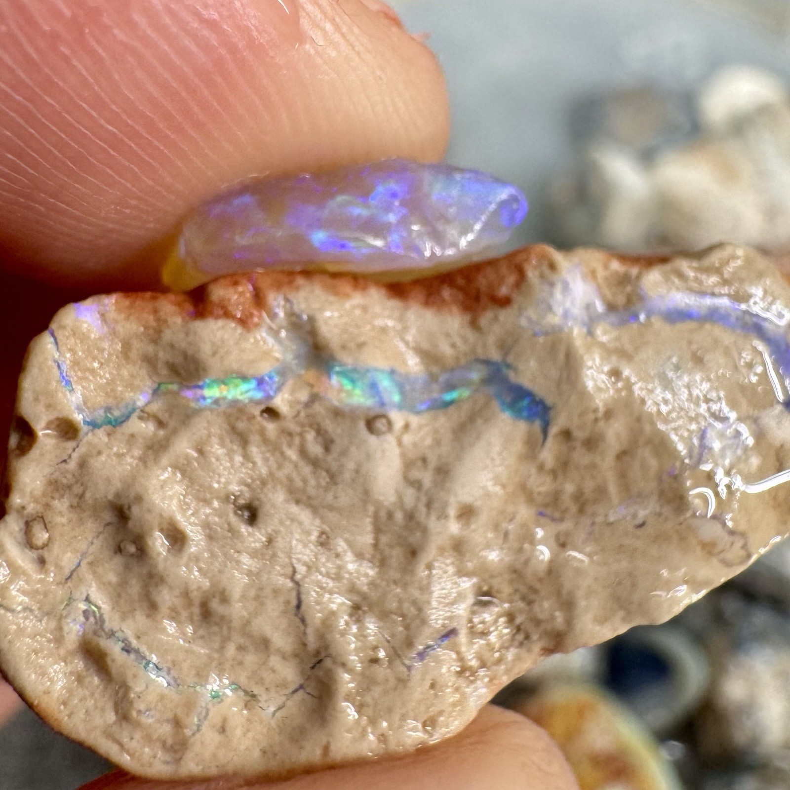 1 Troy Oz Lightning Ridge Opal Rough - Nobby & Seam Gamble Parcel