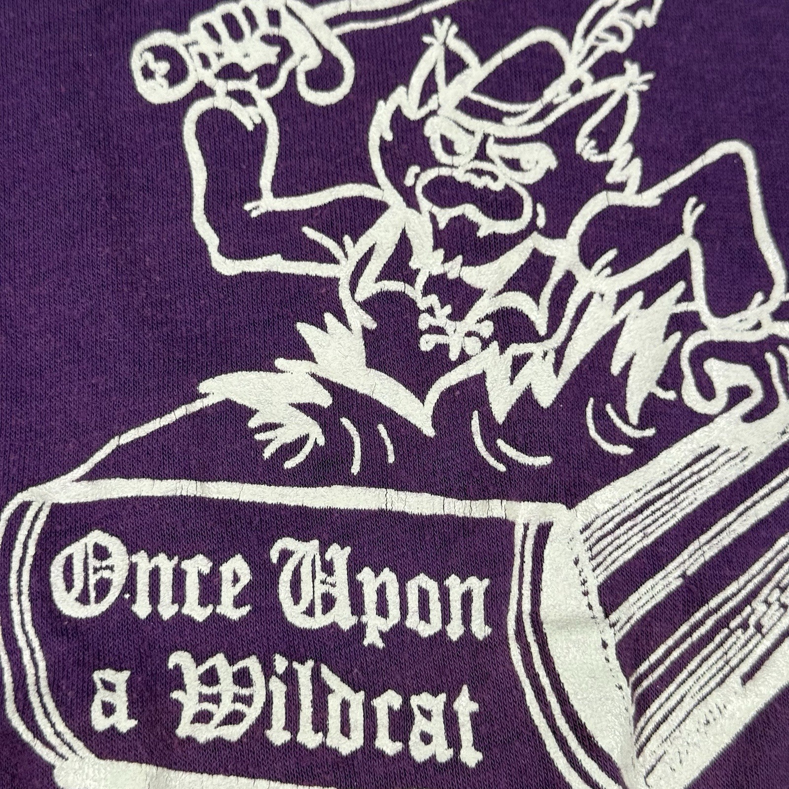 Vintage 1981 Northwestern University Home Coming Printed Tee T-shirt Adult Sz: S