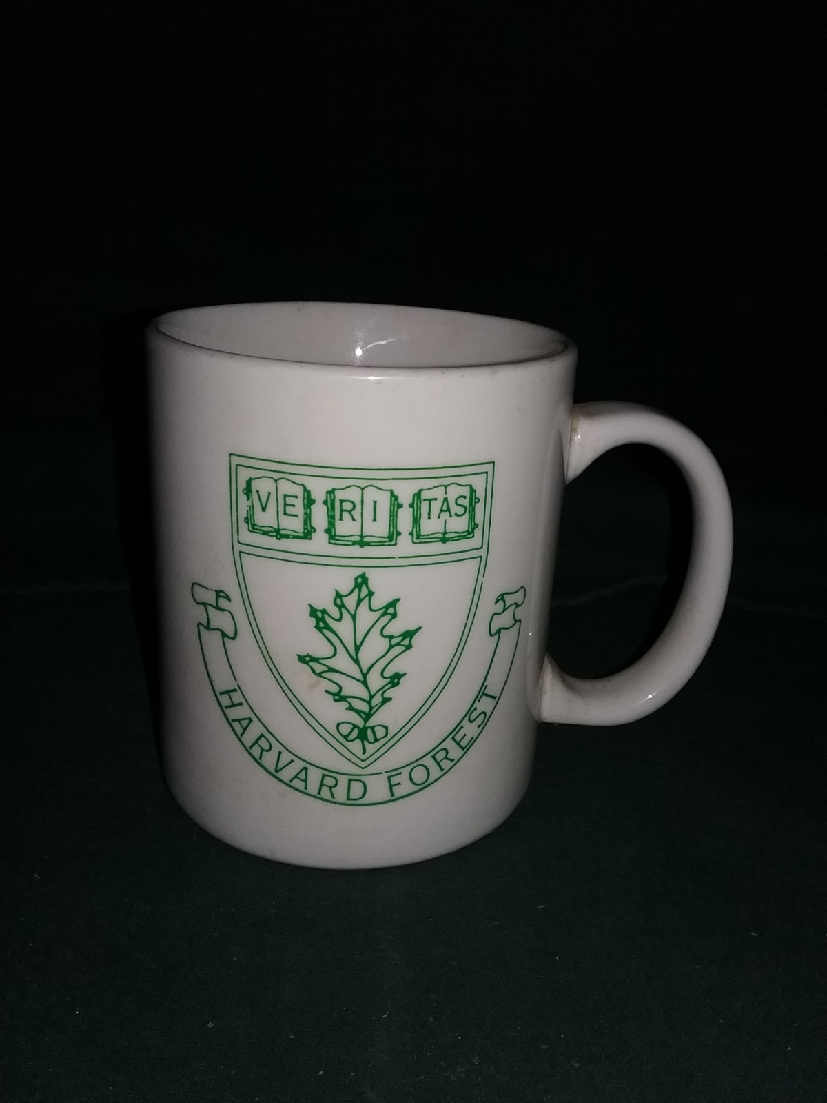Vintage Harvard University Harvard Forest Ceramic Coffee Mug.  VGC RARE